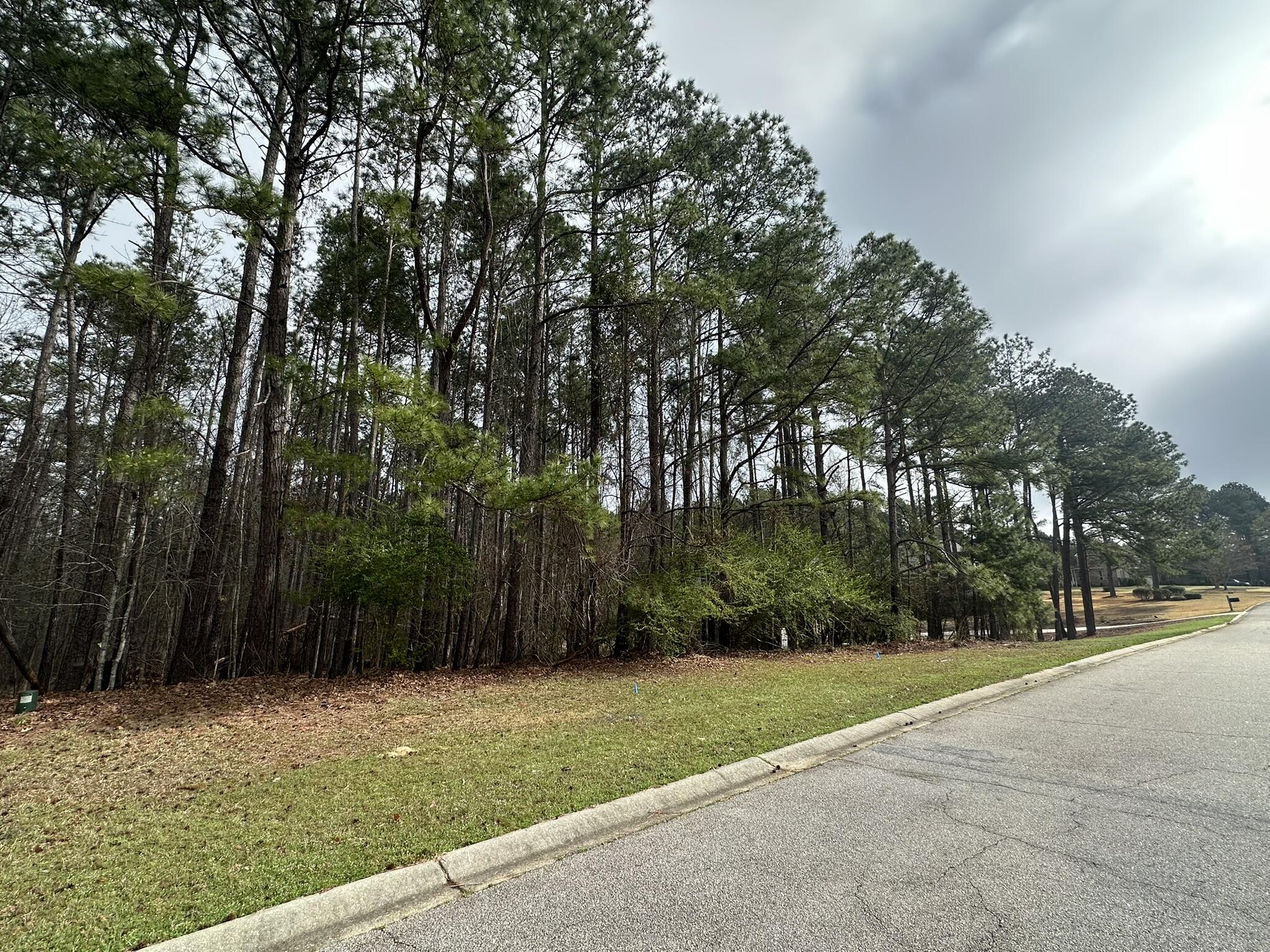 Homes for sale in North Augusta, SC | 1048 Longstreet Pl, North Augusta, SC 29860 | MLS# 553307