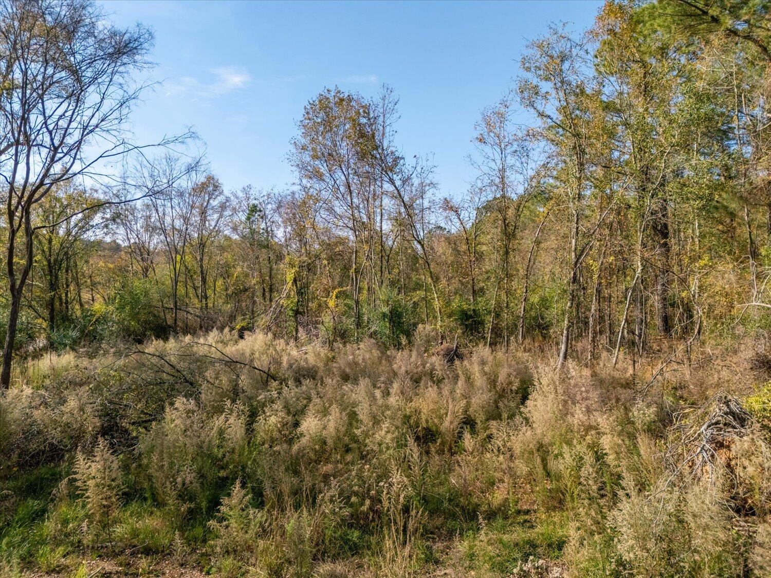 106 Rolling Hills Dr, Trenton, SC, 29847