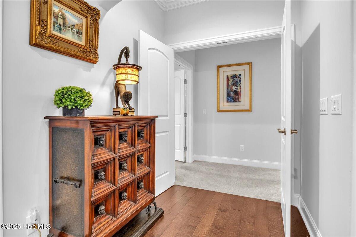 100527091 | Photo 40