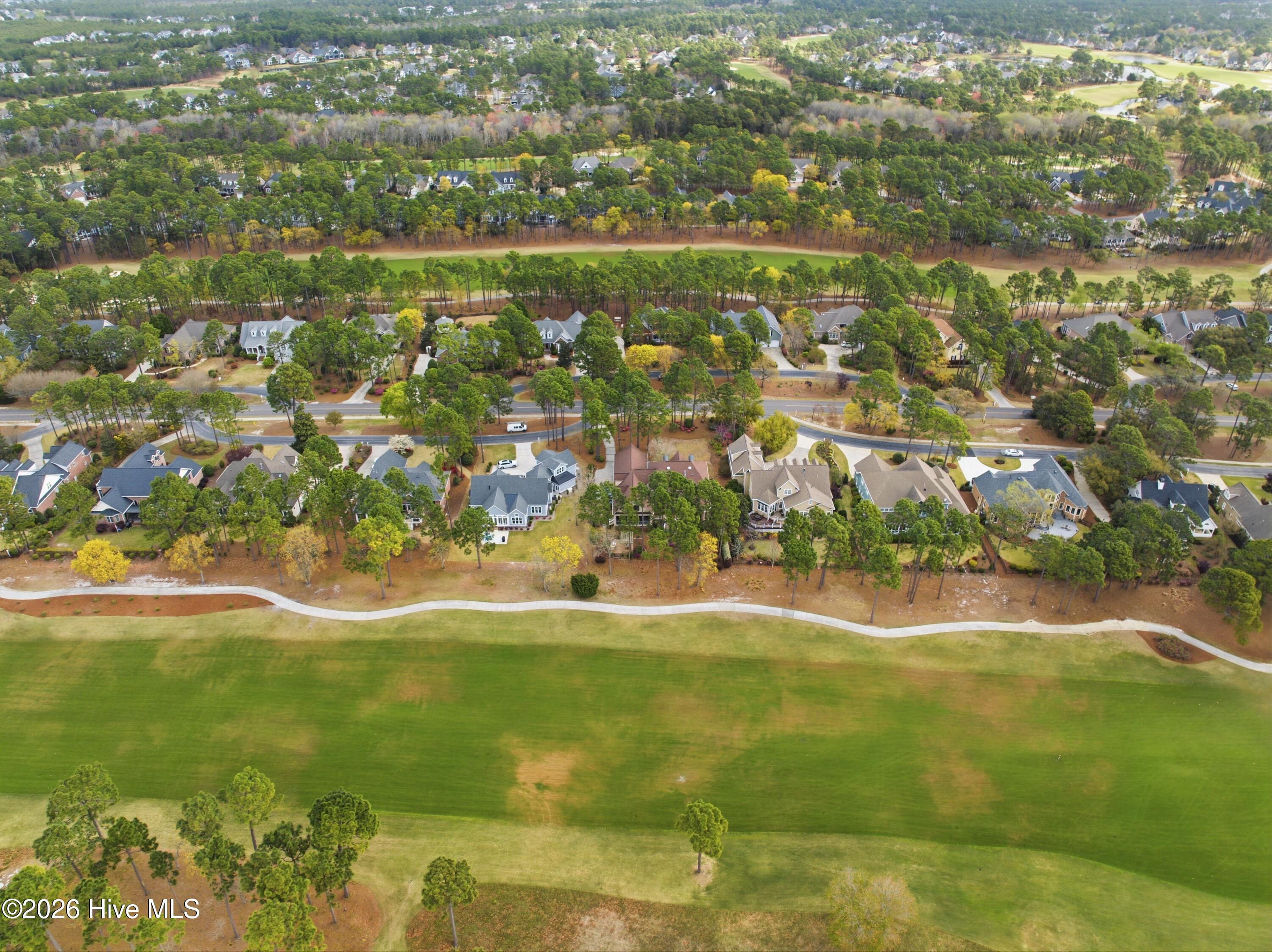 100564679 | Photo 67