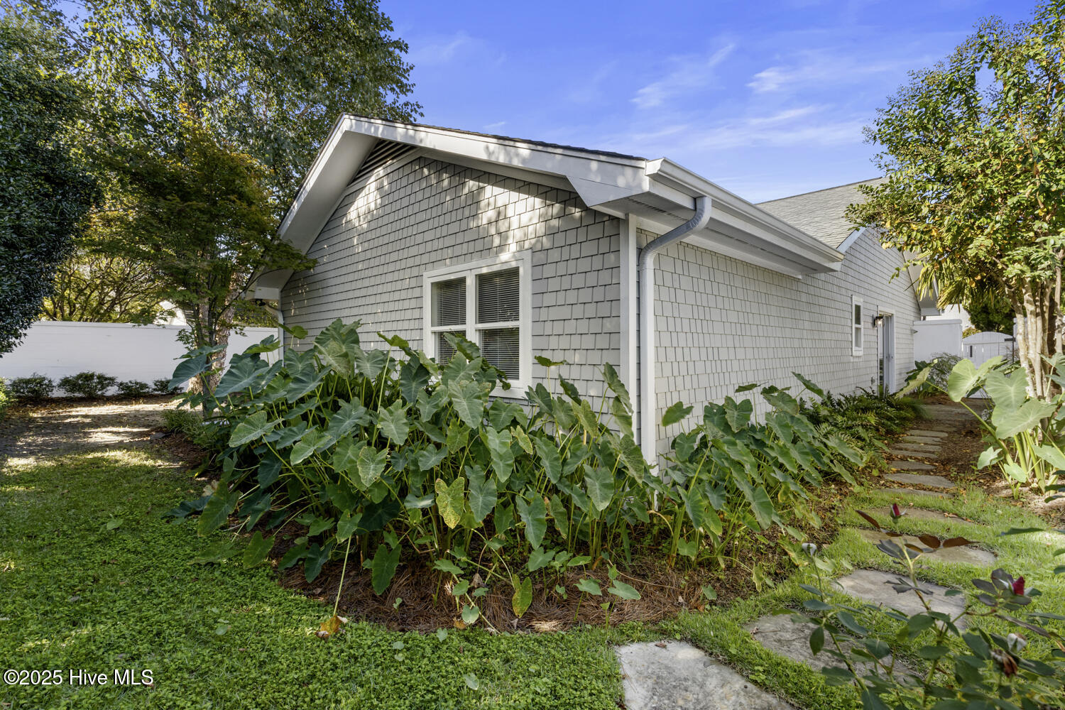 100535668 | Photo 40