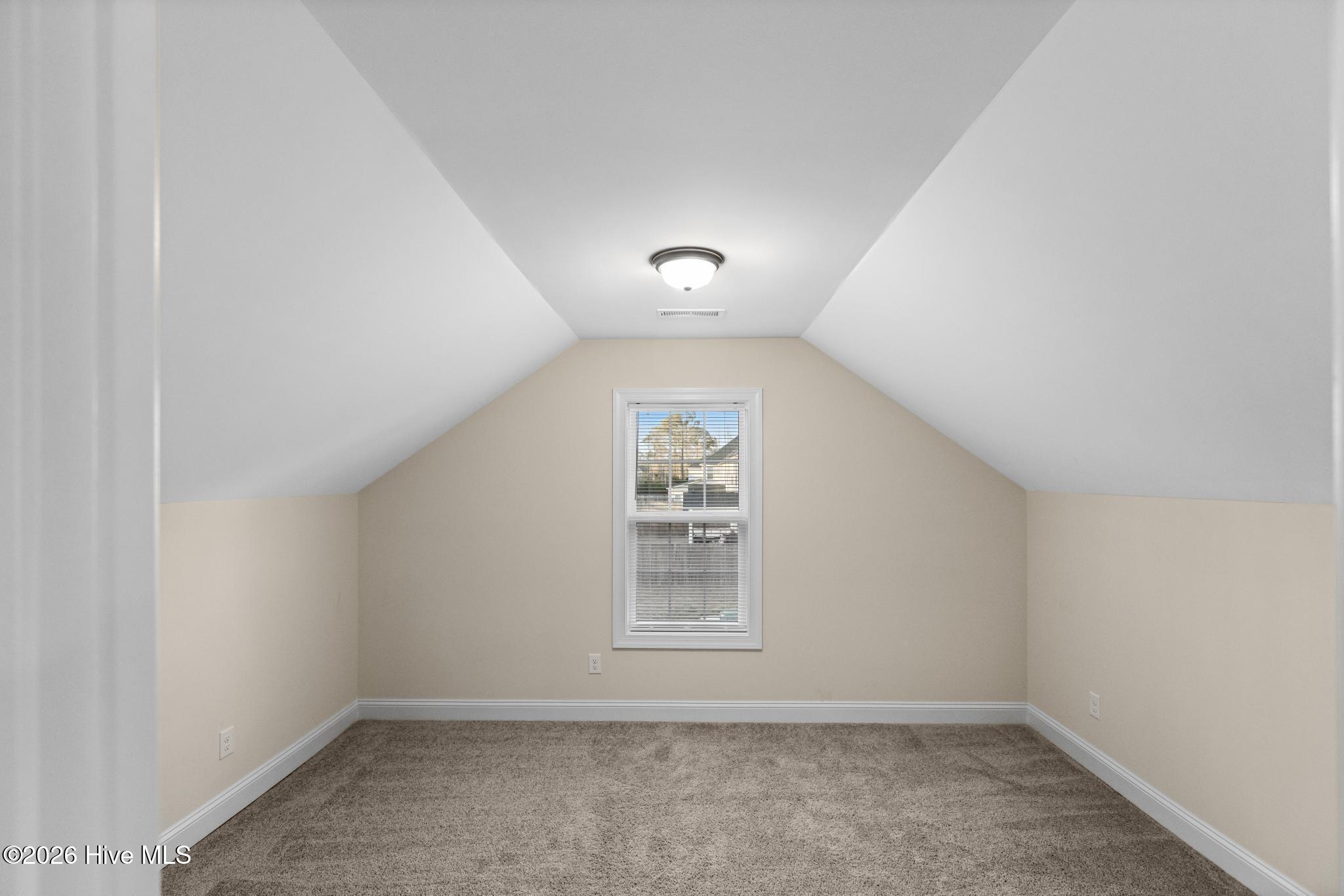 100560656 | Photo 22