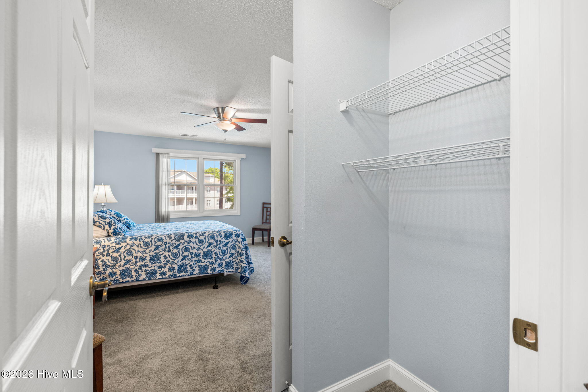 100569270 | Photo 20