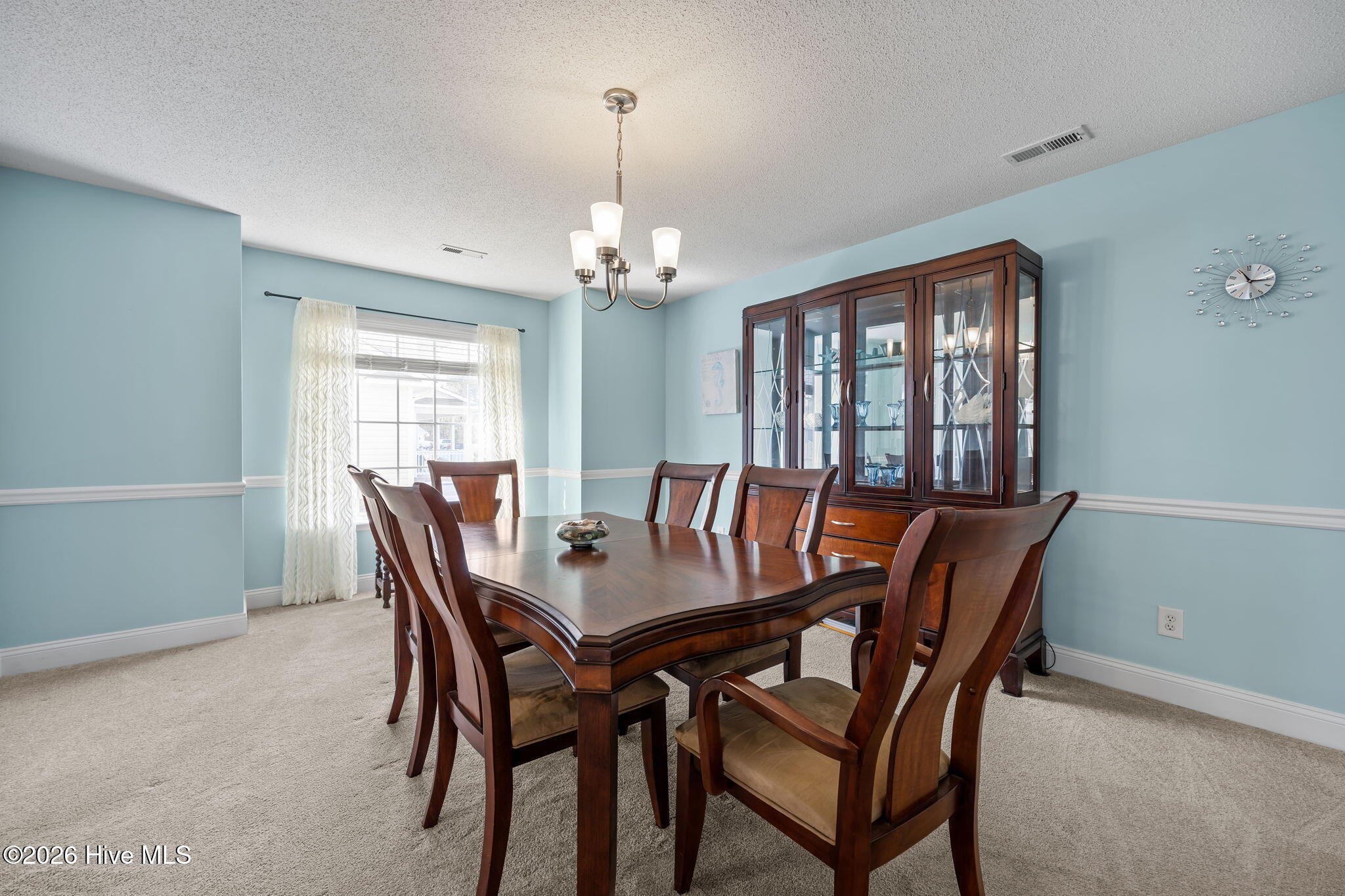 100570536 | Photo 29