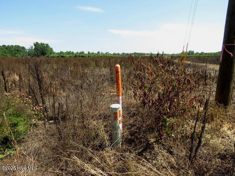 Homes for sale in Red Springs, NC | Tbd Cope Rd, Red Springs, NC 28377 | MLS# 100520354