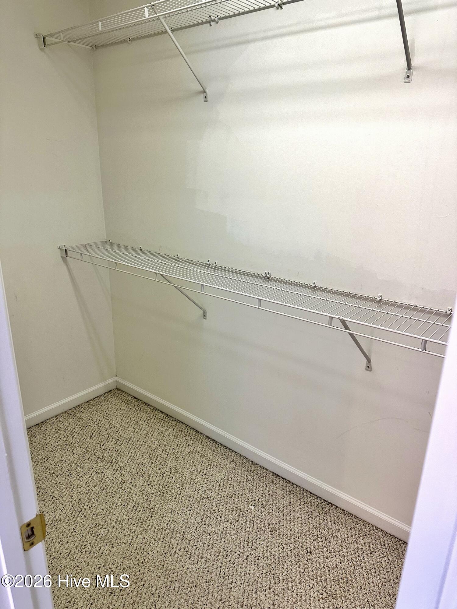 100552707 | Photo 48