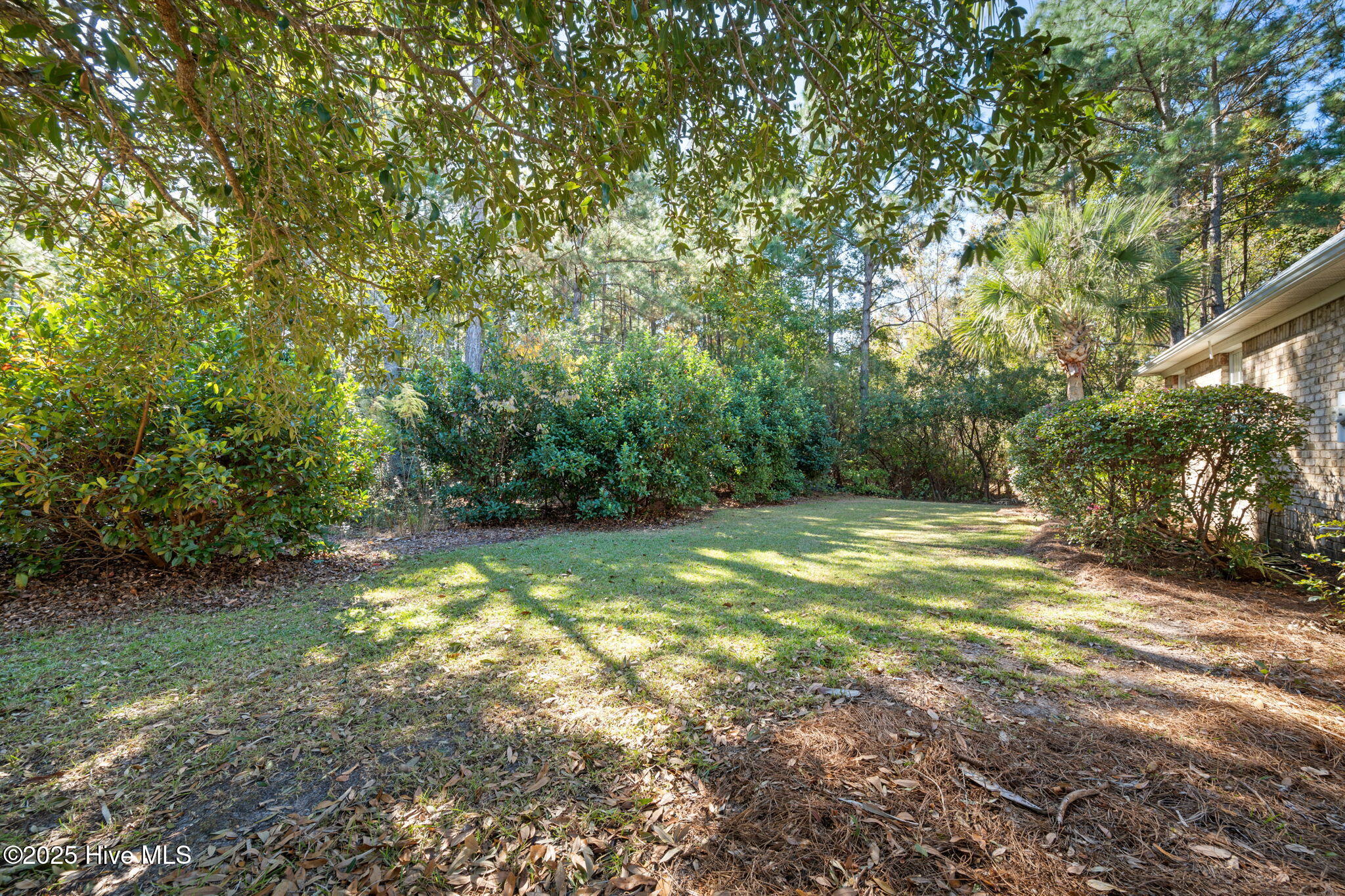 100538167 | Photo 35