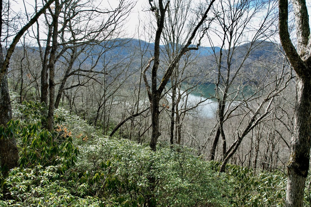 Homes for sale in Nantahala, NC | Lot 14 Holly Ridge Rd, Nantahala, NC 28781 | MLS# 98500220