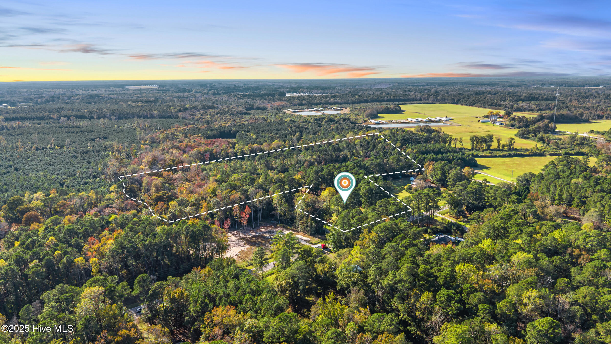 100556103 | Photo 56