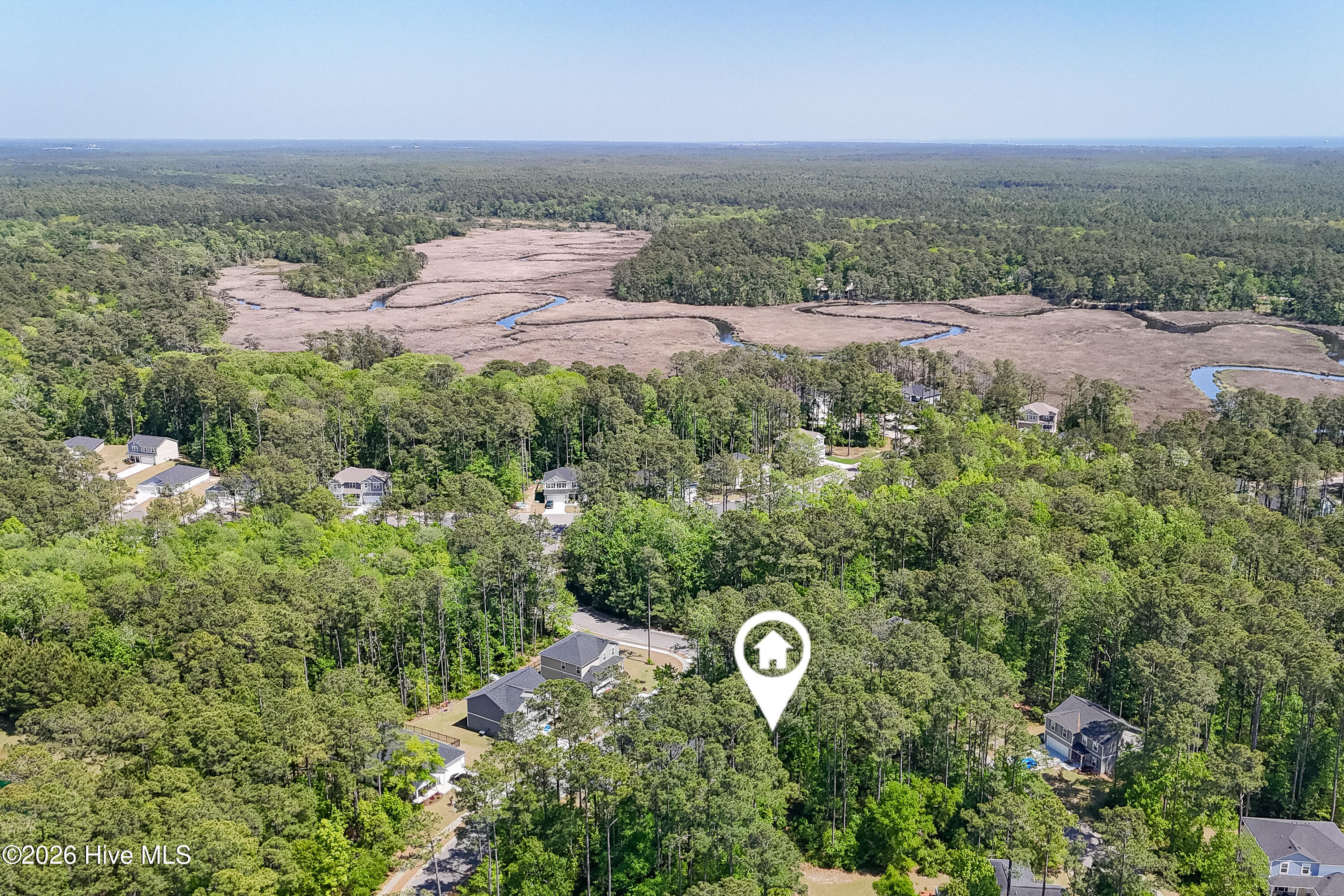 100569737 | Photo 11