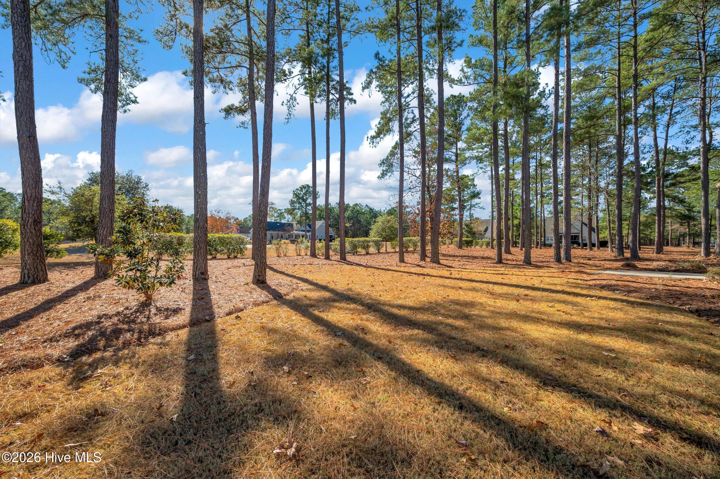 100545849 | Photo 33