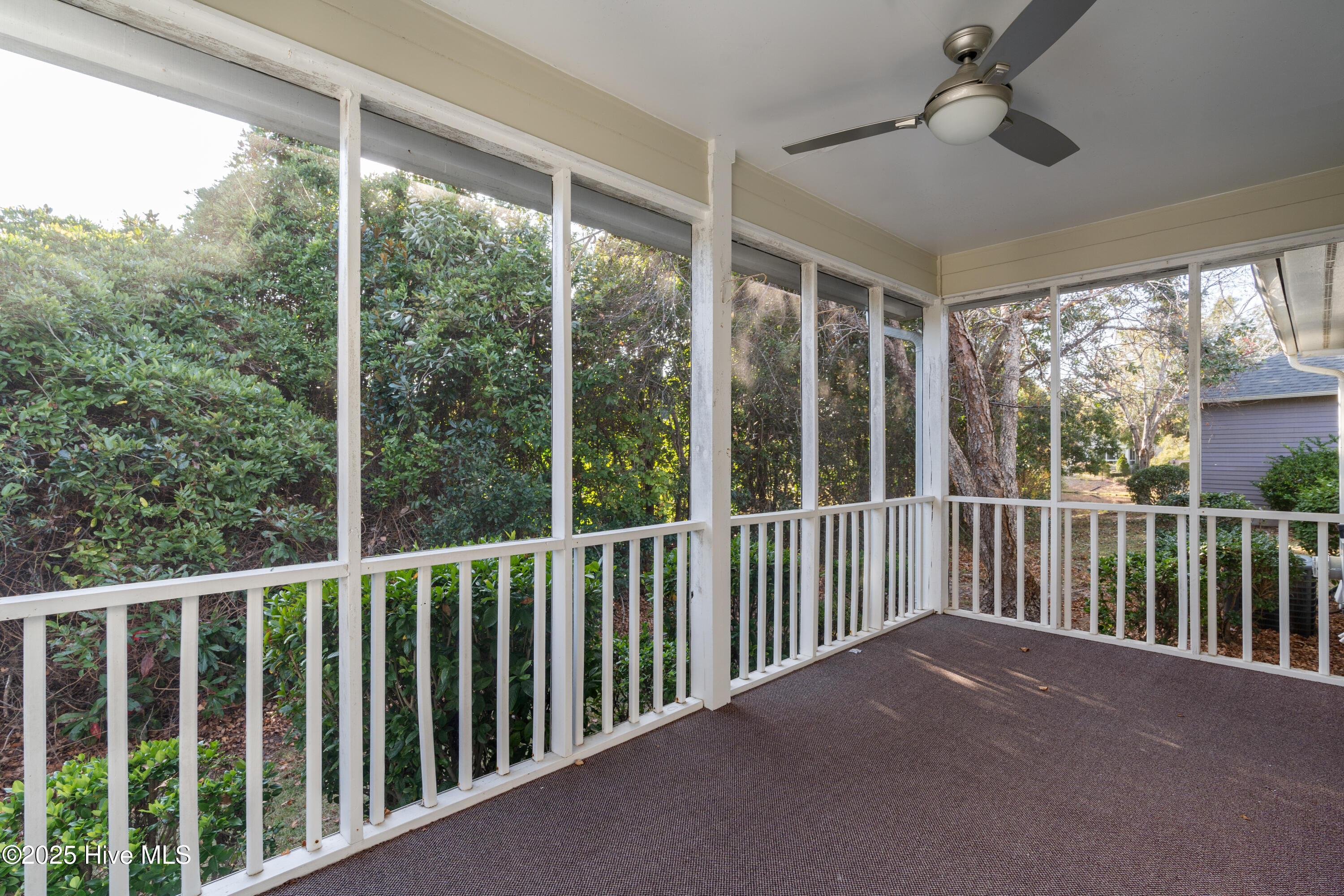 100543647 | Photo 15