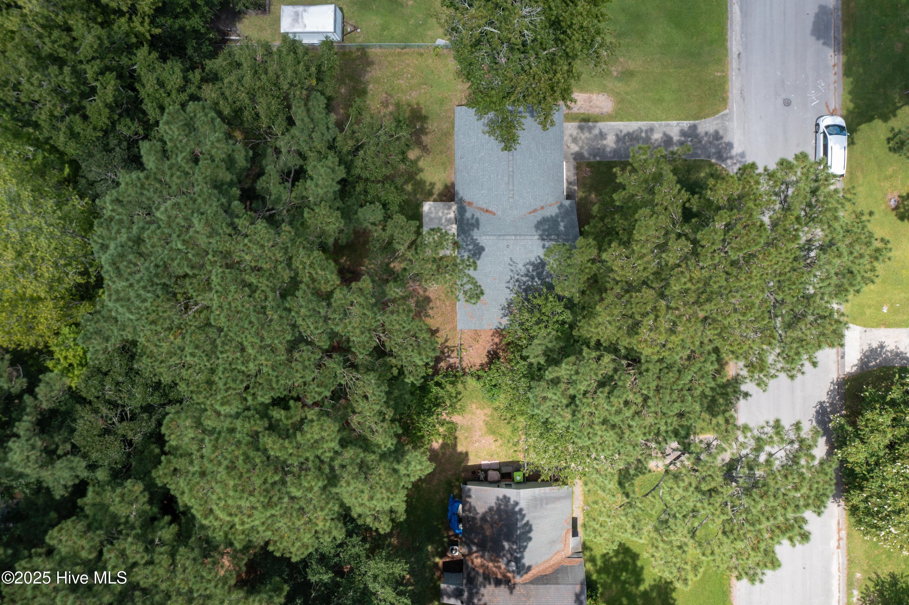 100523600 | Photo 36