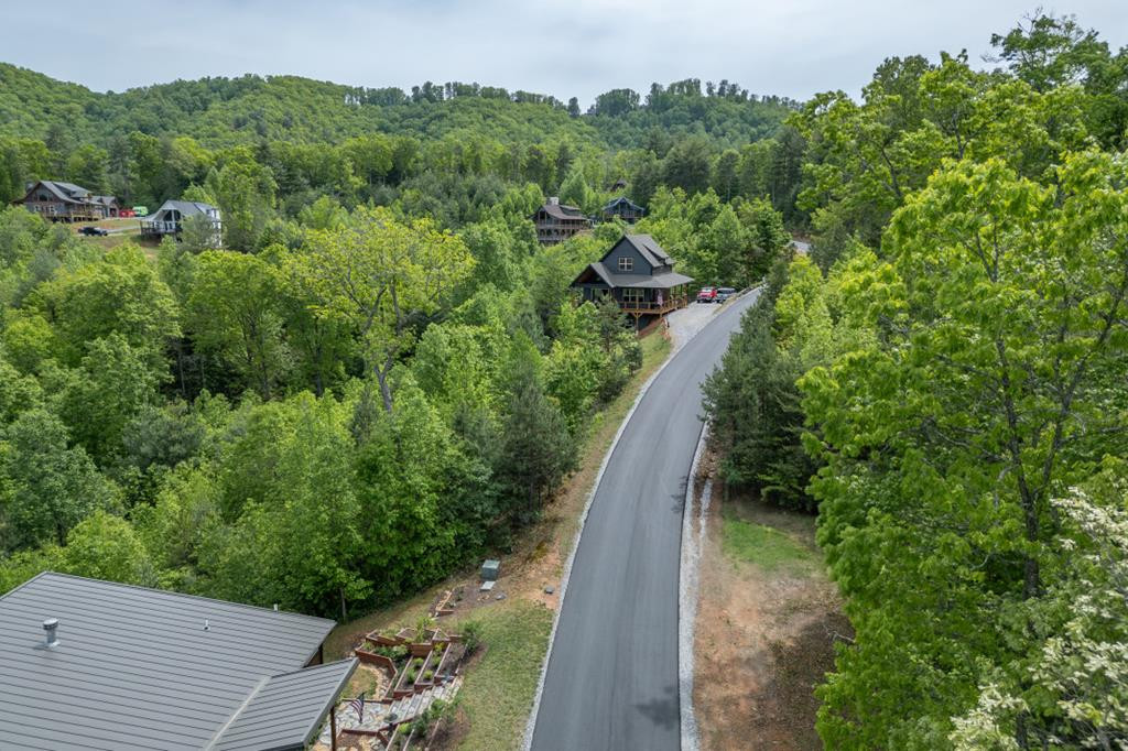 455 Point Overlook Trail, Murphy, NC 28906 Listing Photo  40