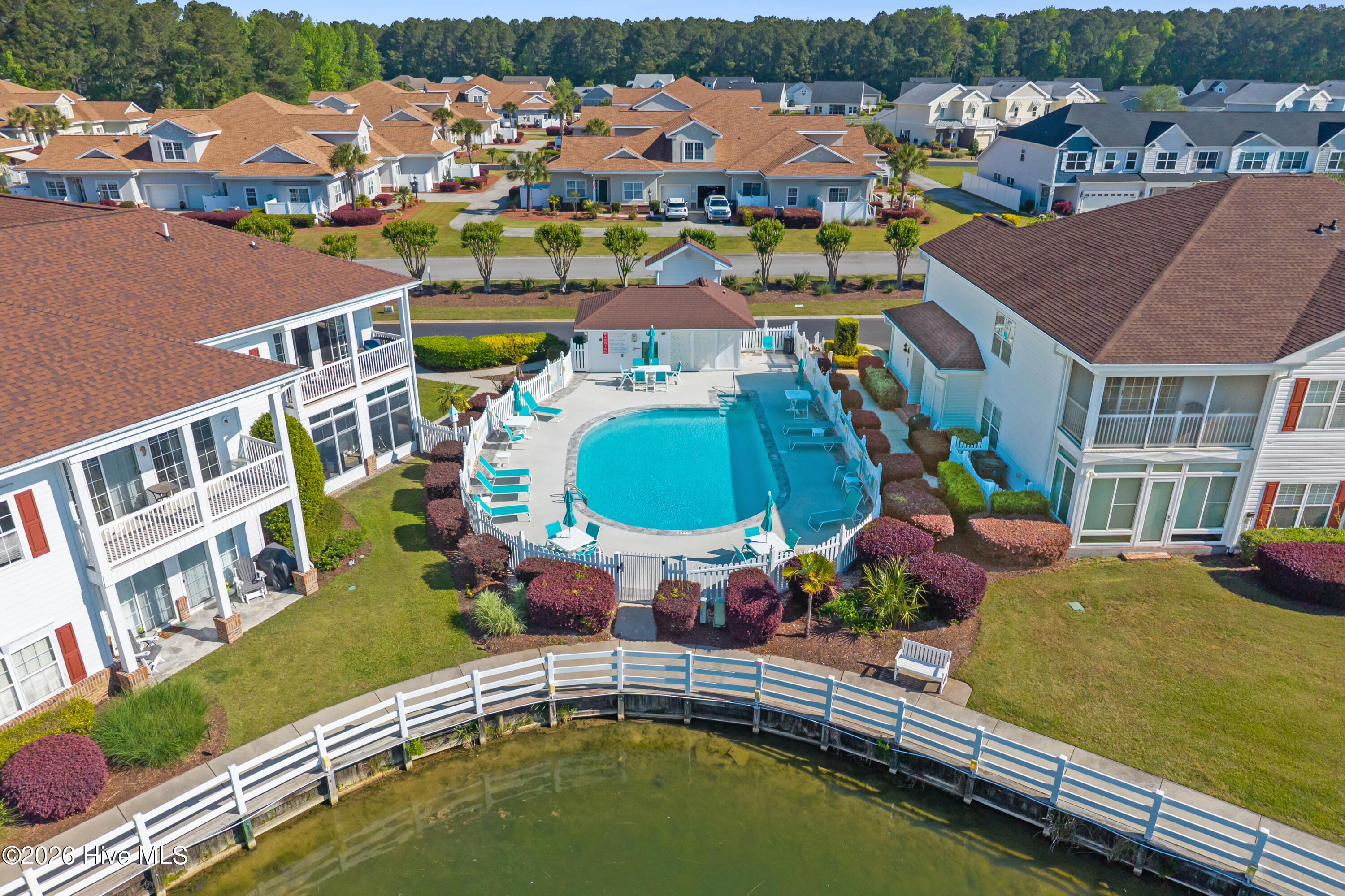 100567546 | Photo 34