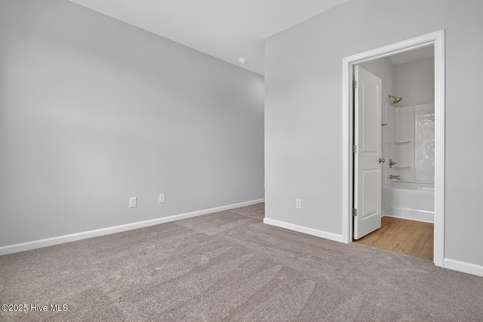 100559094 | Photo 21