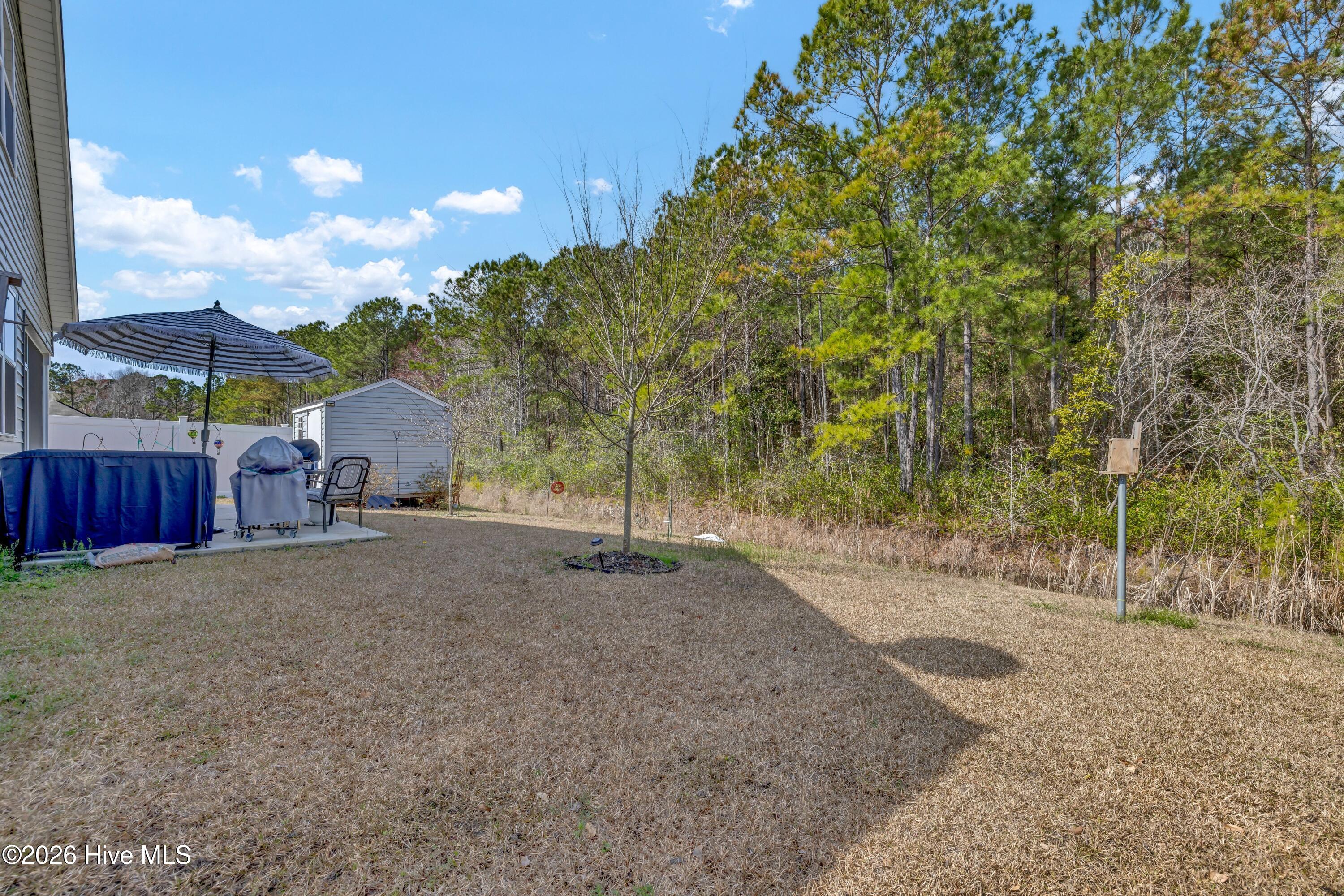 100558362 | Photo 35