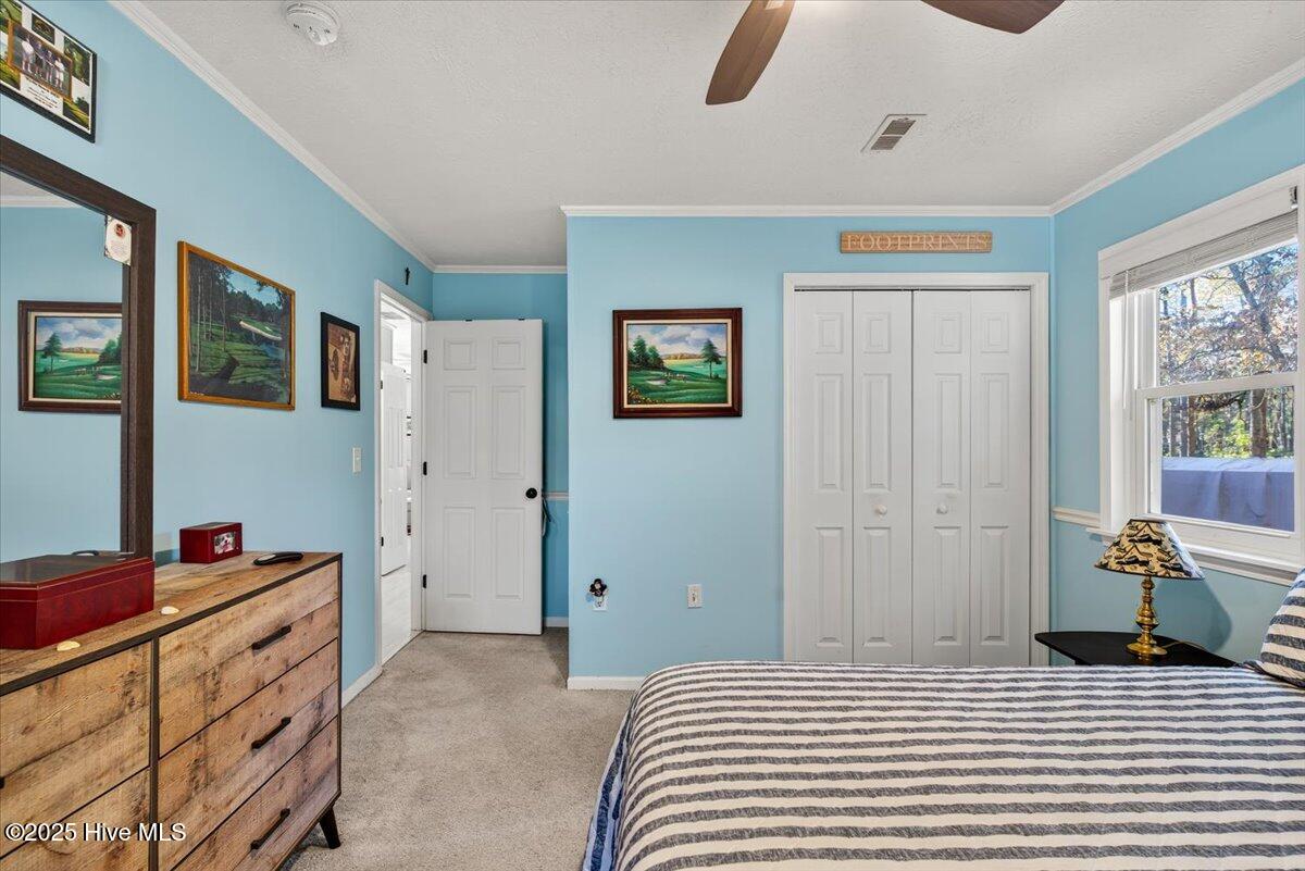 100542492 | Photo 21