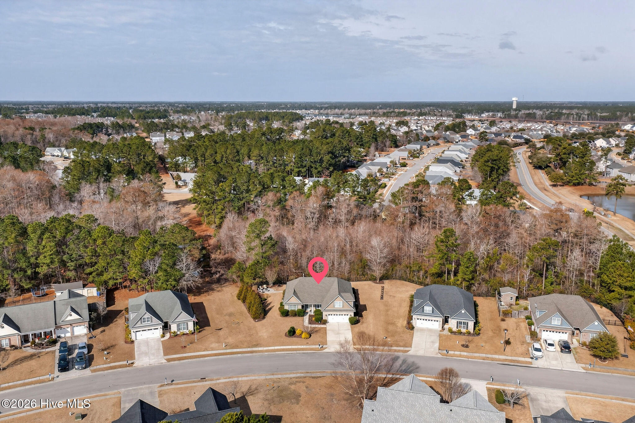 100558265 | Photo 61