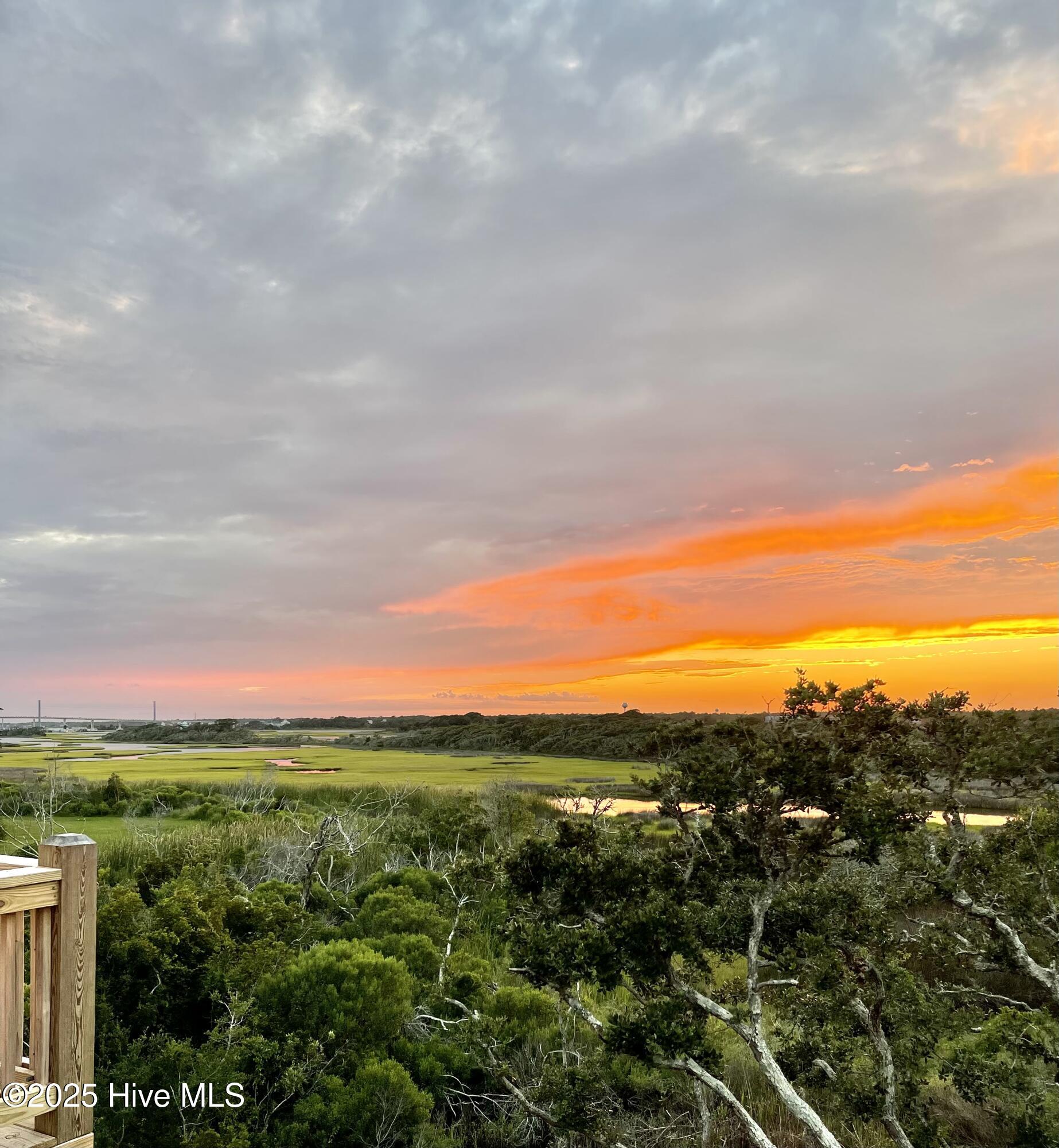 100533799 | Photo 50