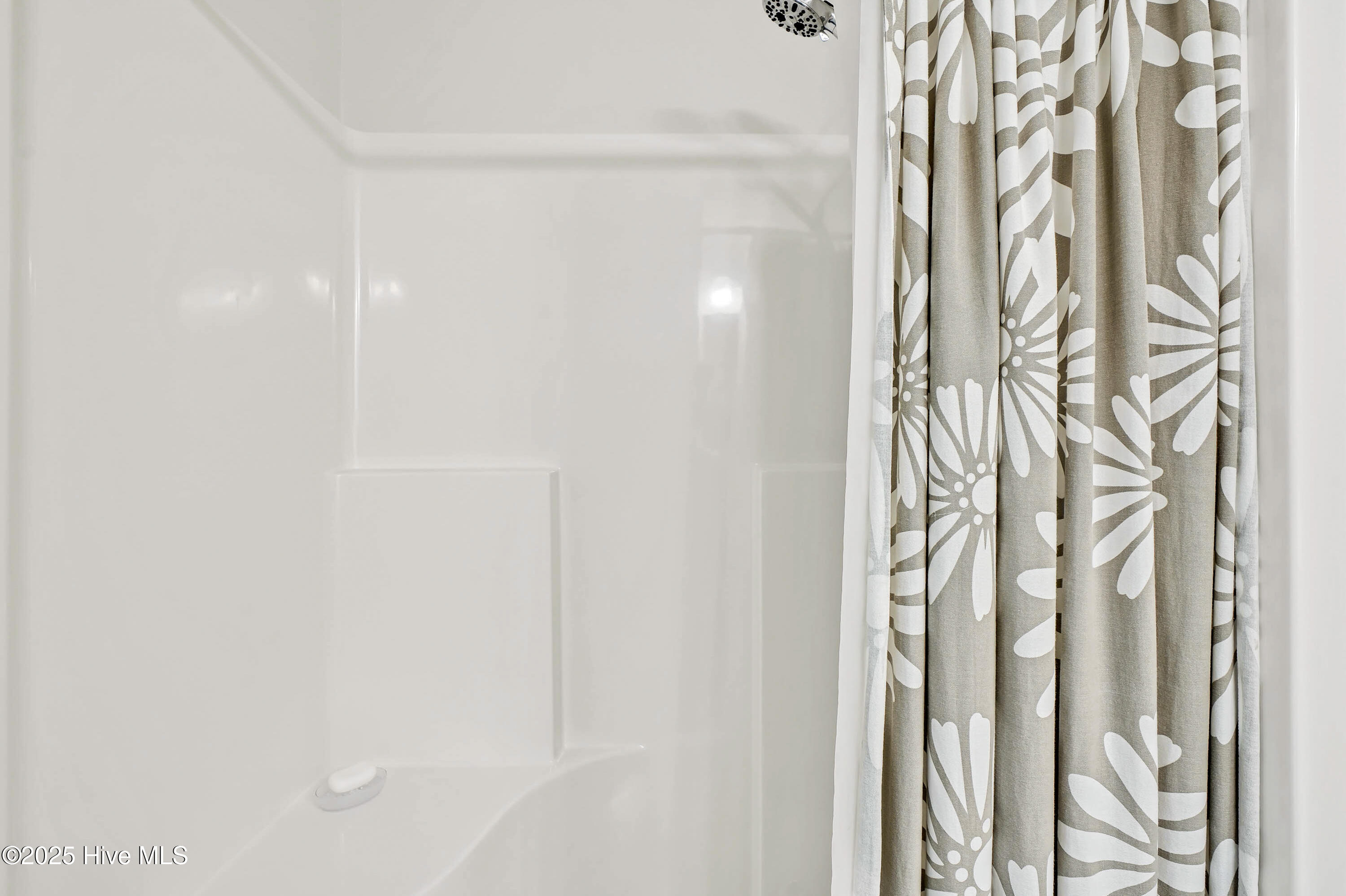 100557853 | Photo 17