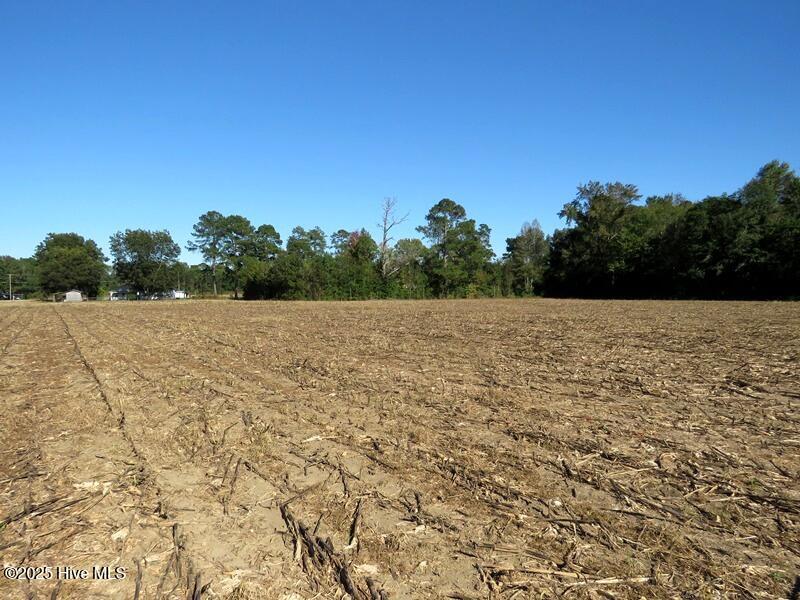 Homes for sale in Fair Bluff, NC | 7 Conway Rd, Fair Bluff, NC 28439 | MLS# 100536975