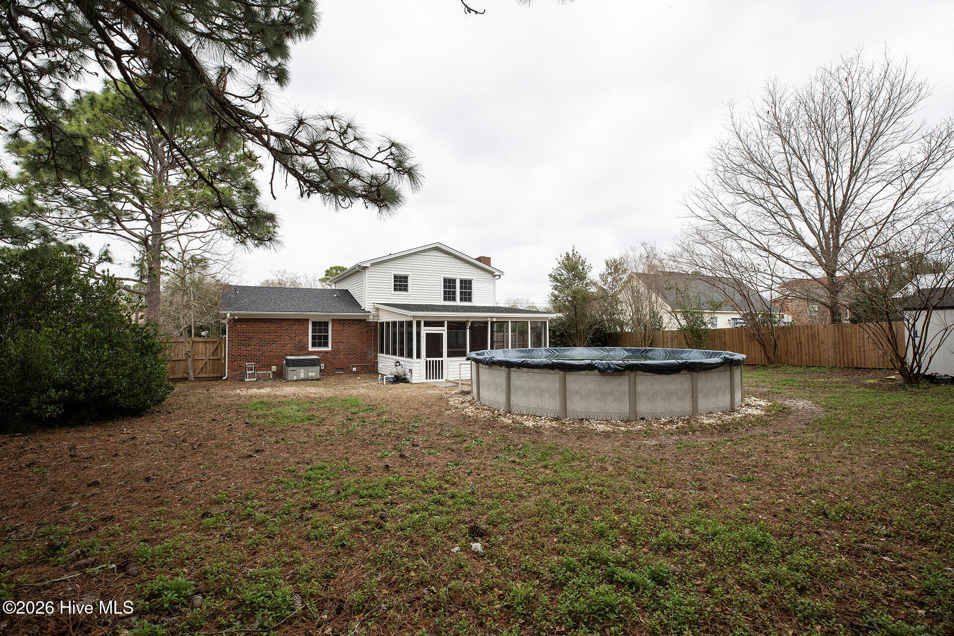 100558477 | Photo 43