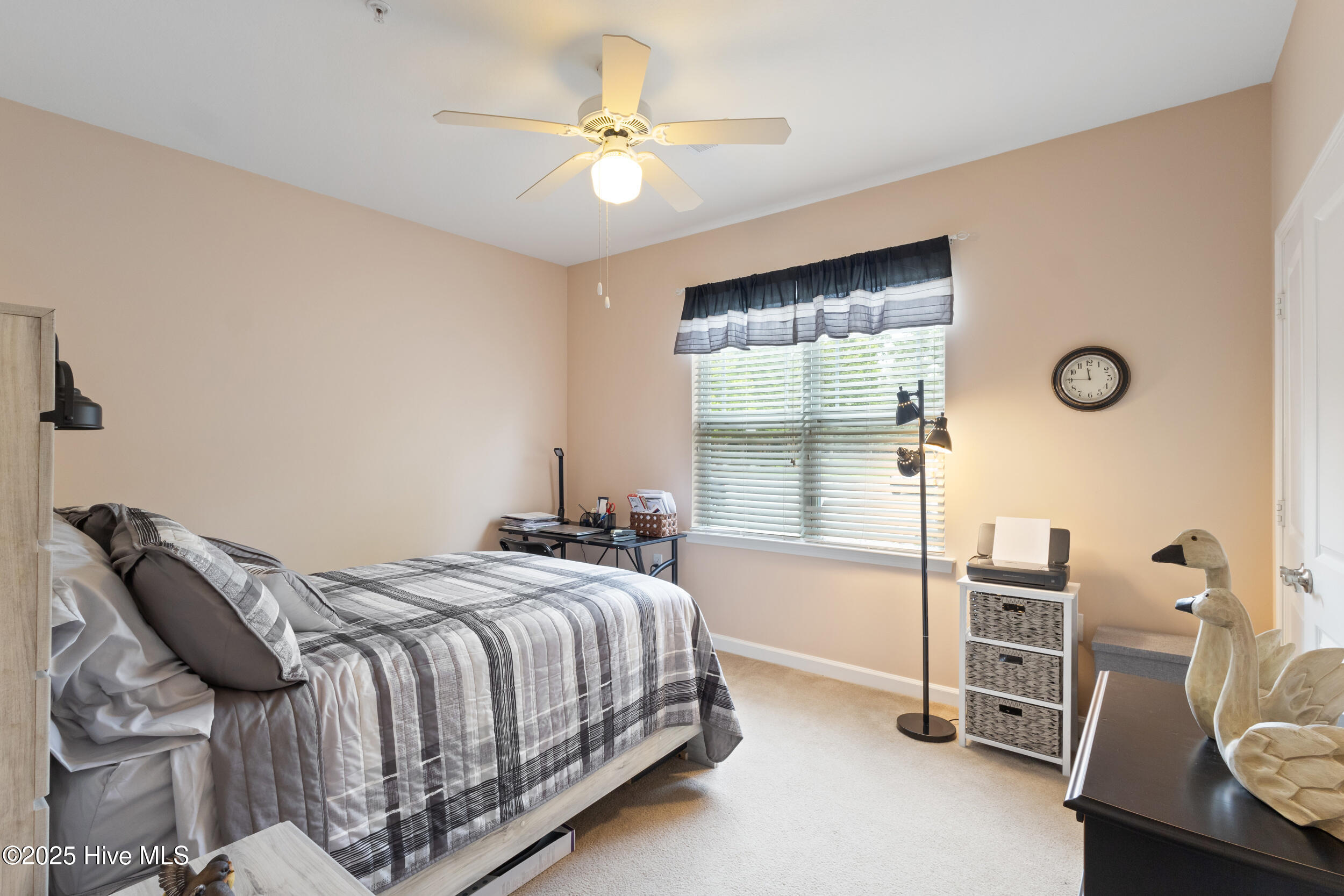 100523602 | Photo 22