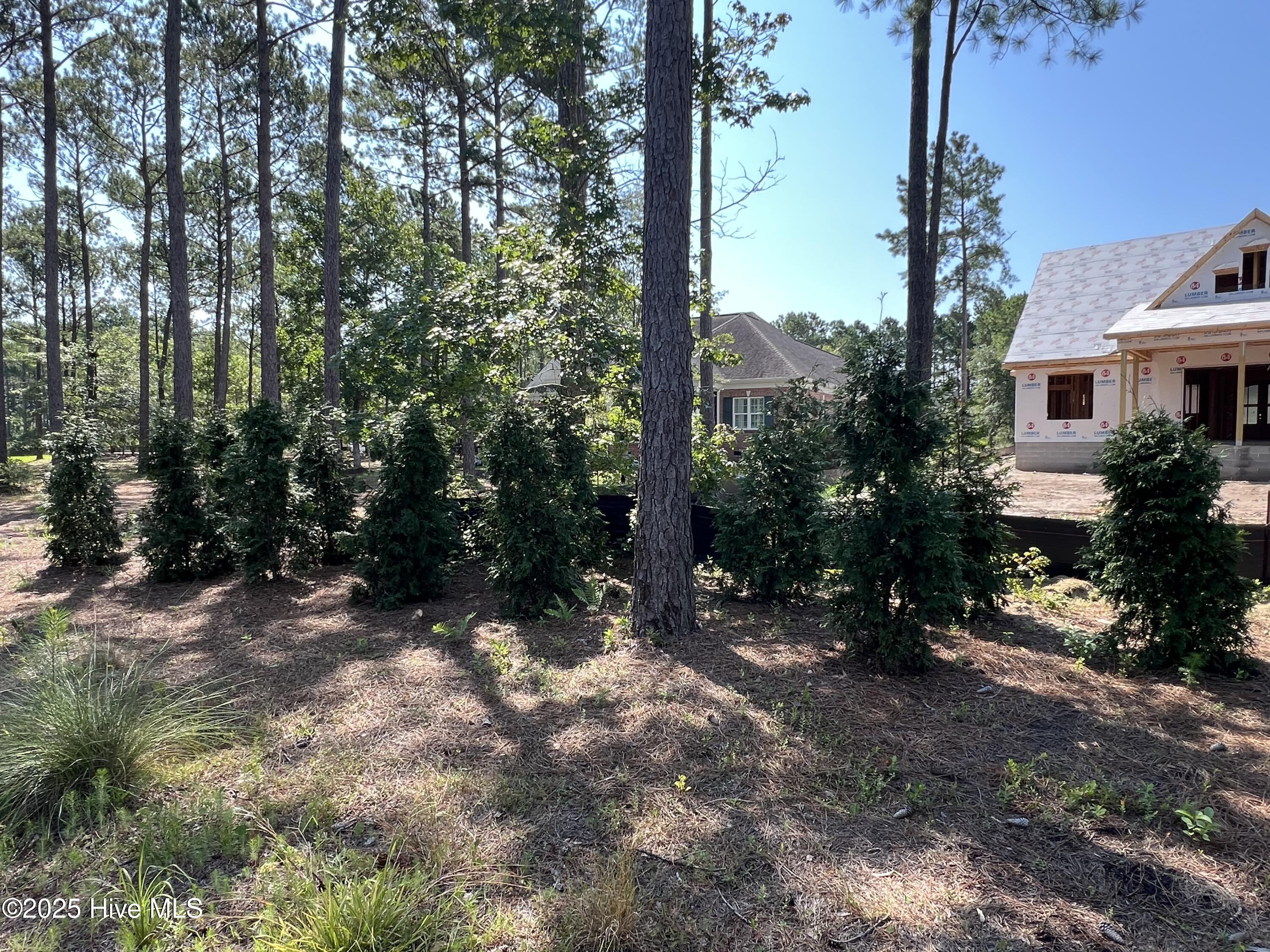 100518368 | Photo 95