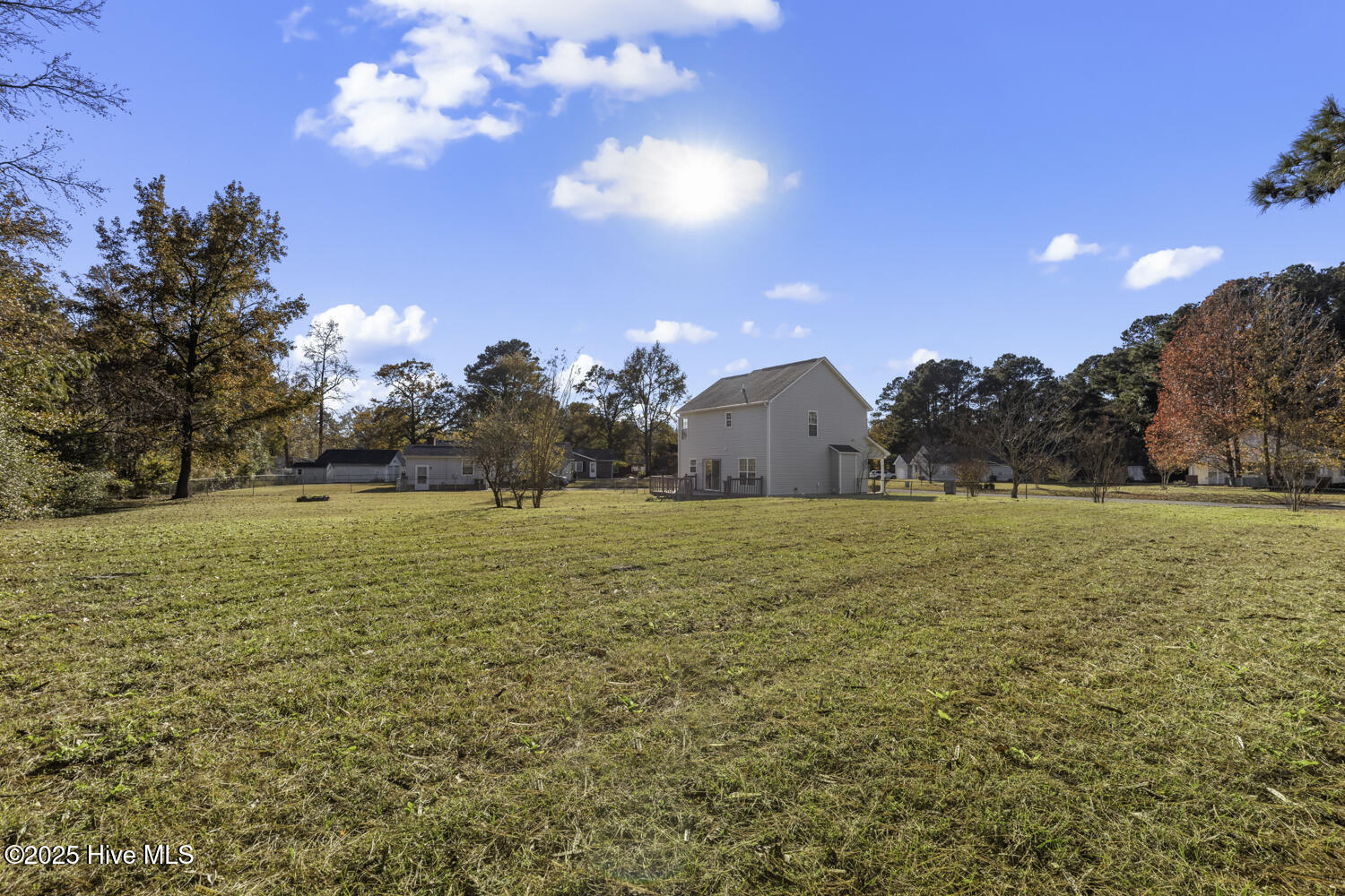 100541335 | Photo 31