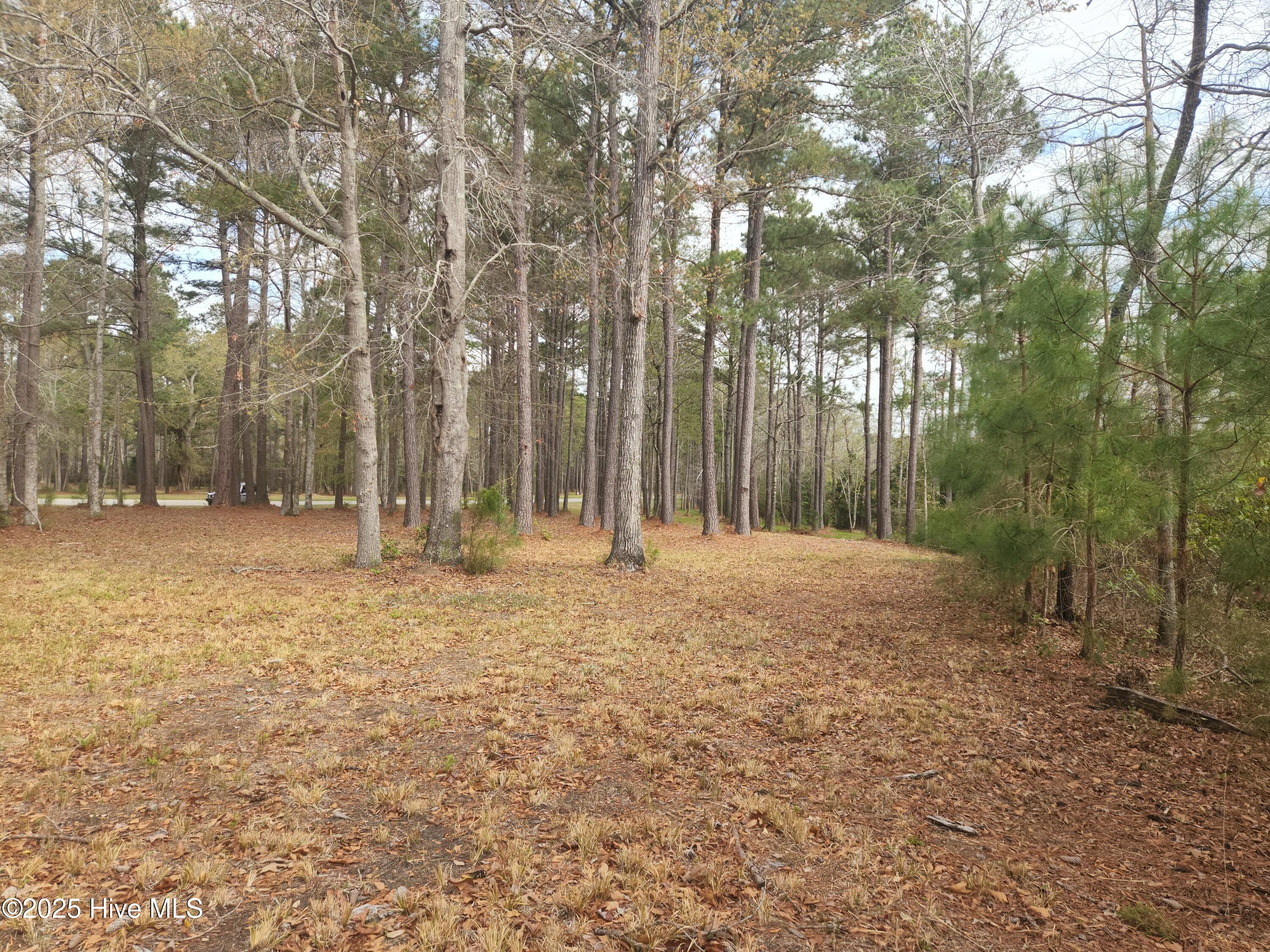 View of back of lot along another small creek