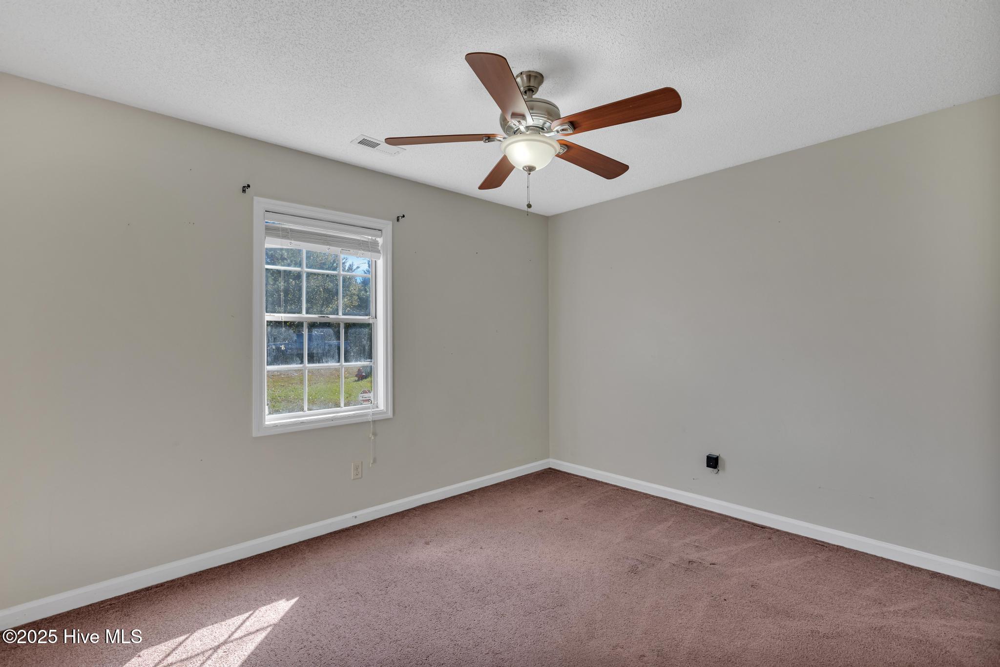 100539855 | Photo 24