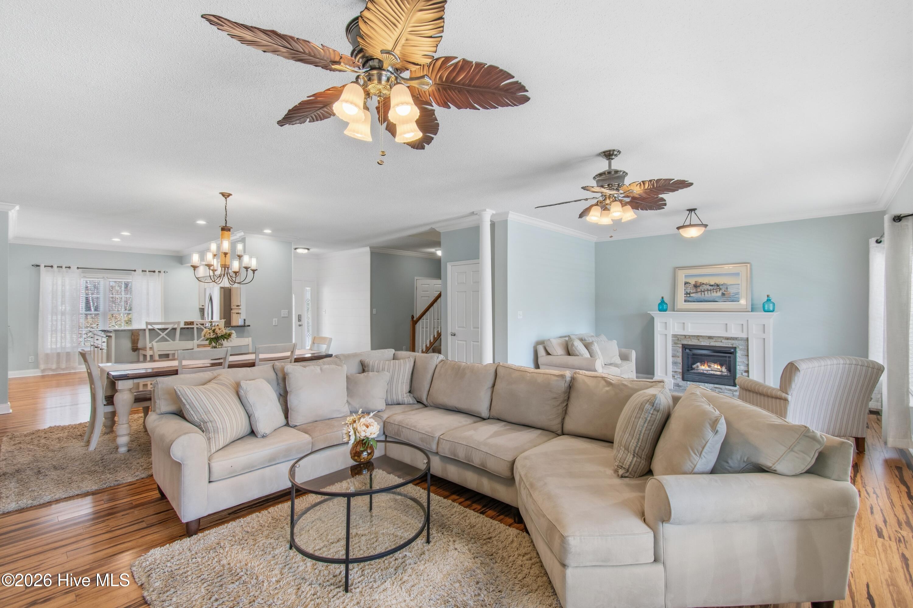 100556655 | Photo 16