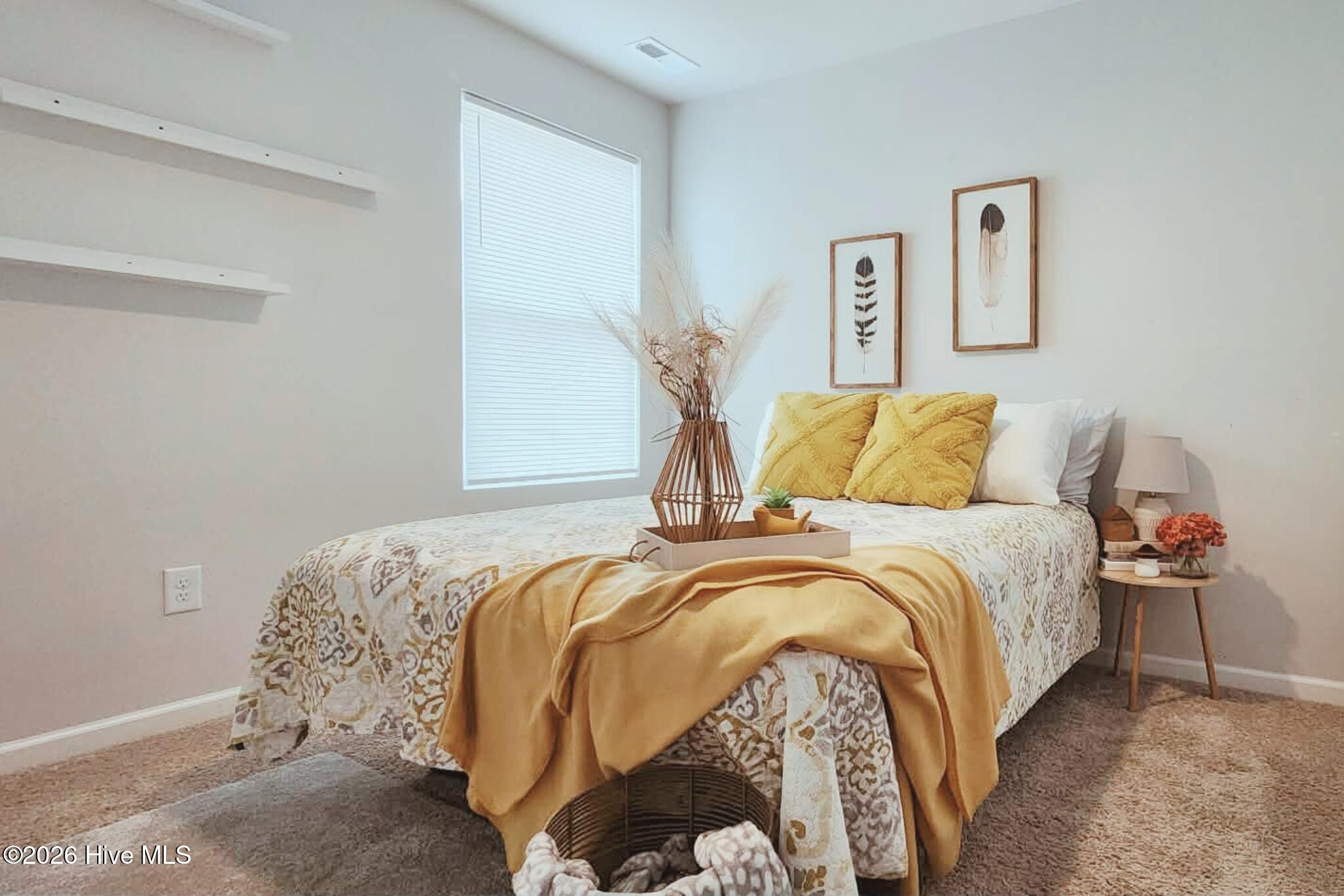 100534878 | Photo 16