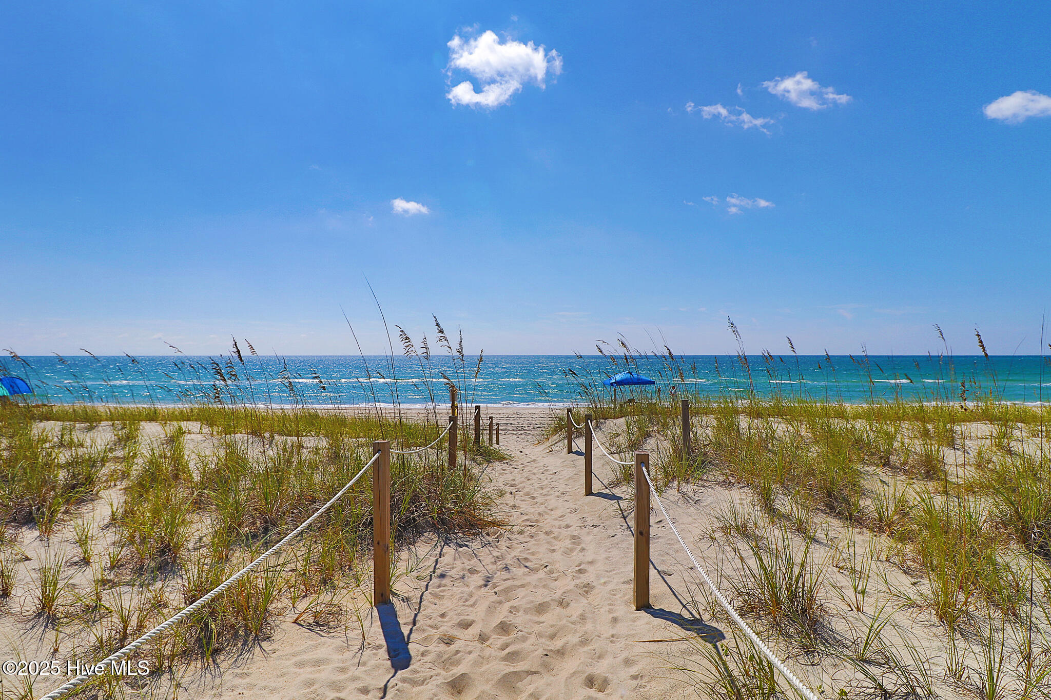 100533935 | Photo 40