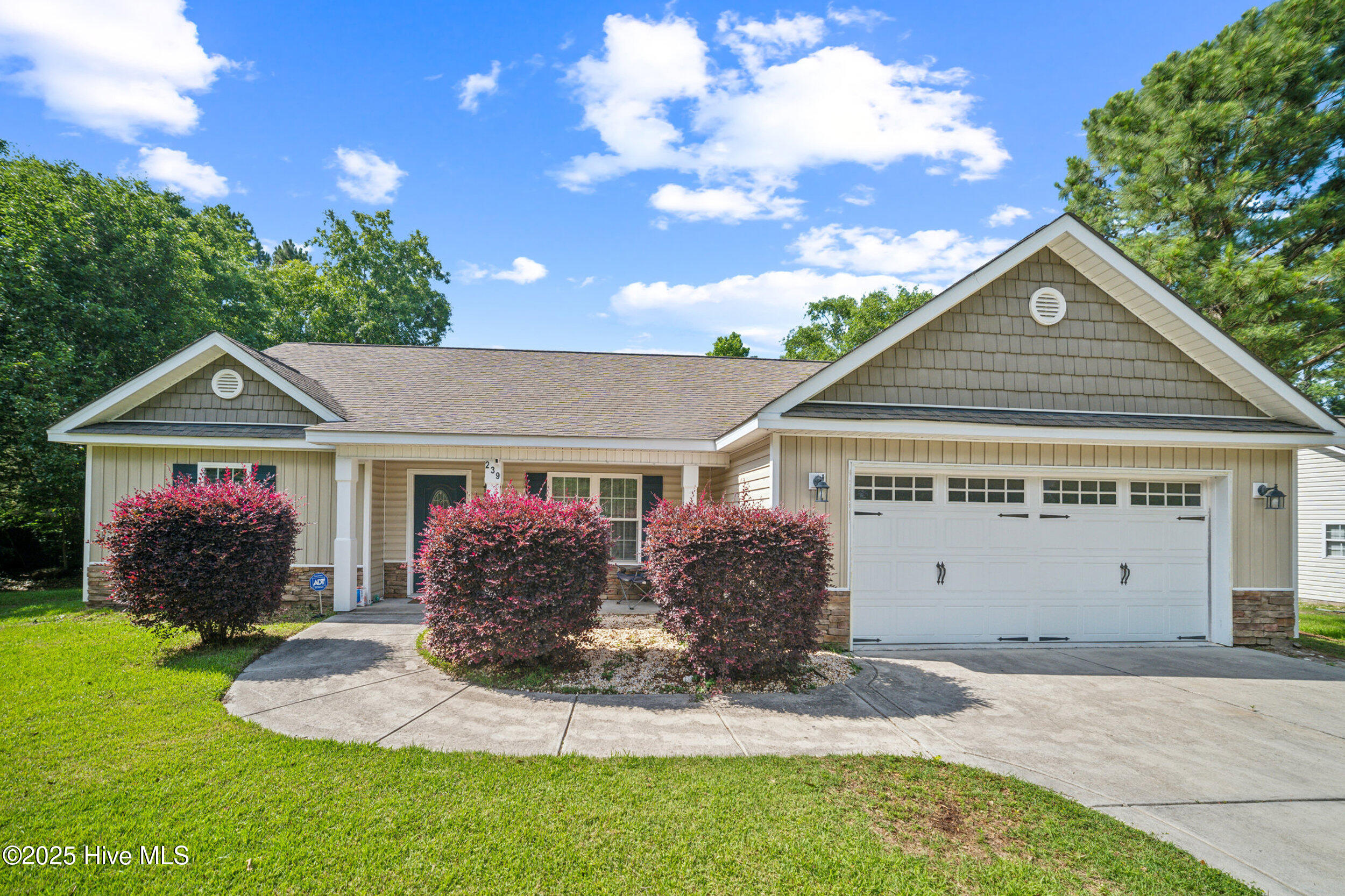 100517815 | Photo 35