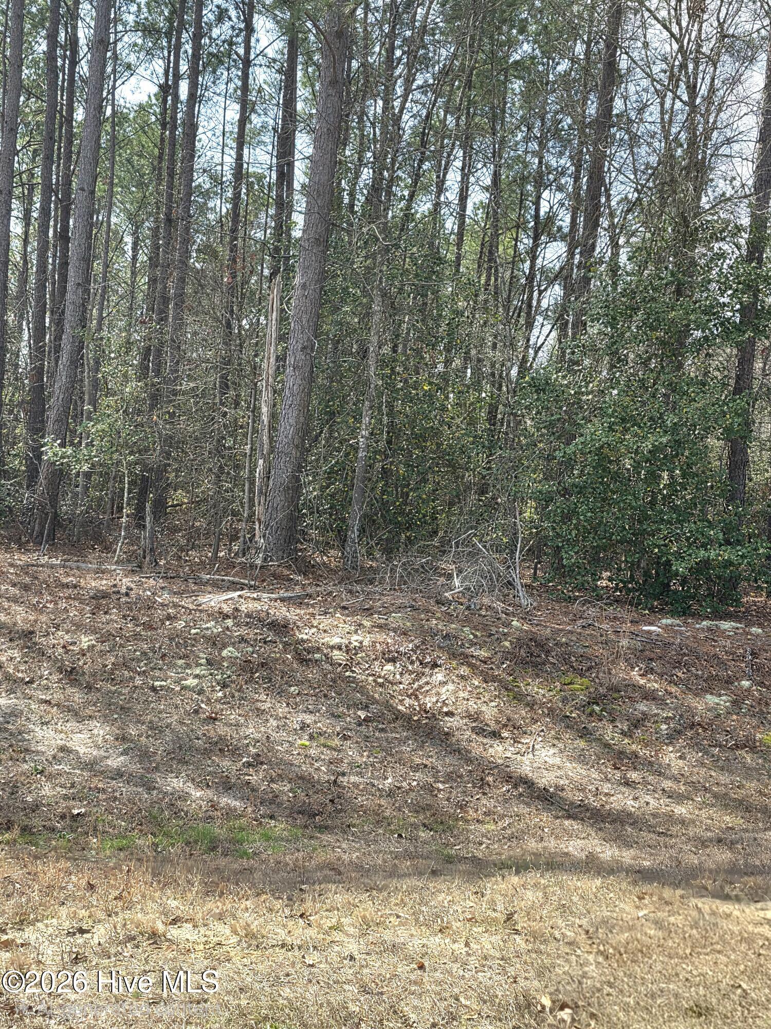 Homes for sale in Dunn, NC | 275 Raynor Sands Dr, Dunn, NC 28334 | MLS# 100558910