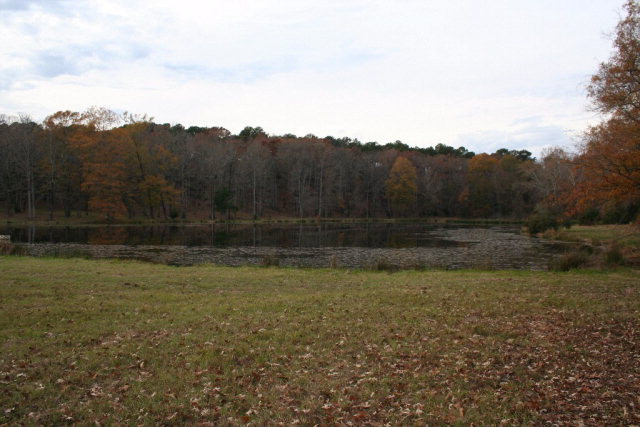 Double Branches Road, Lincolnton, GA 30817 Listing Photo  14