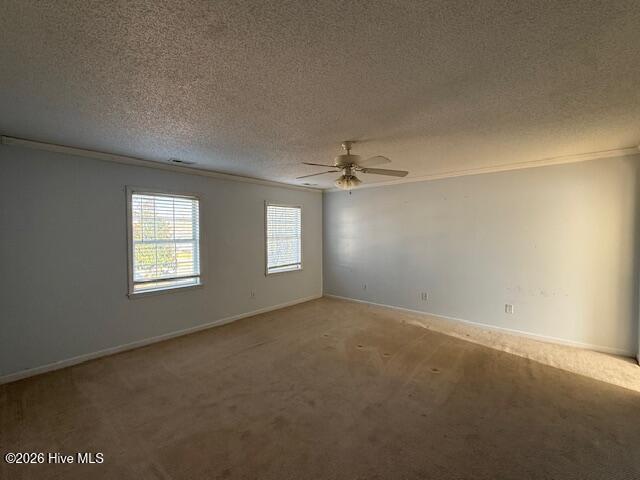 100554830 | Photo 16