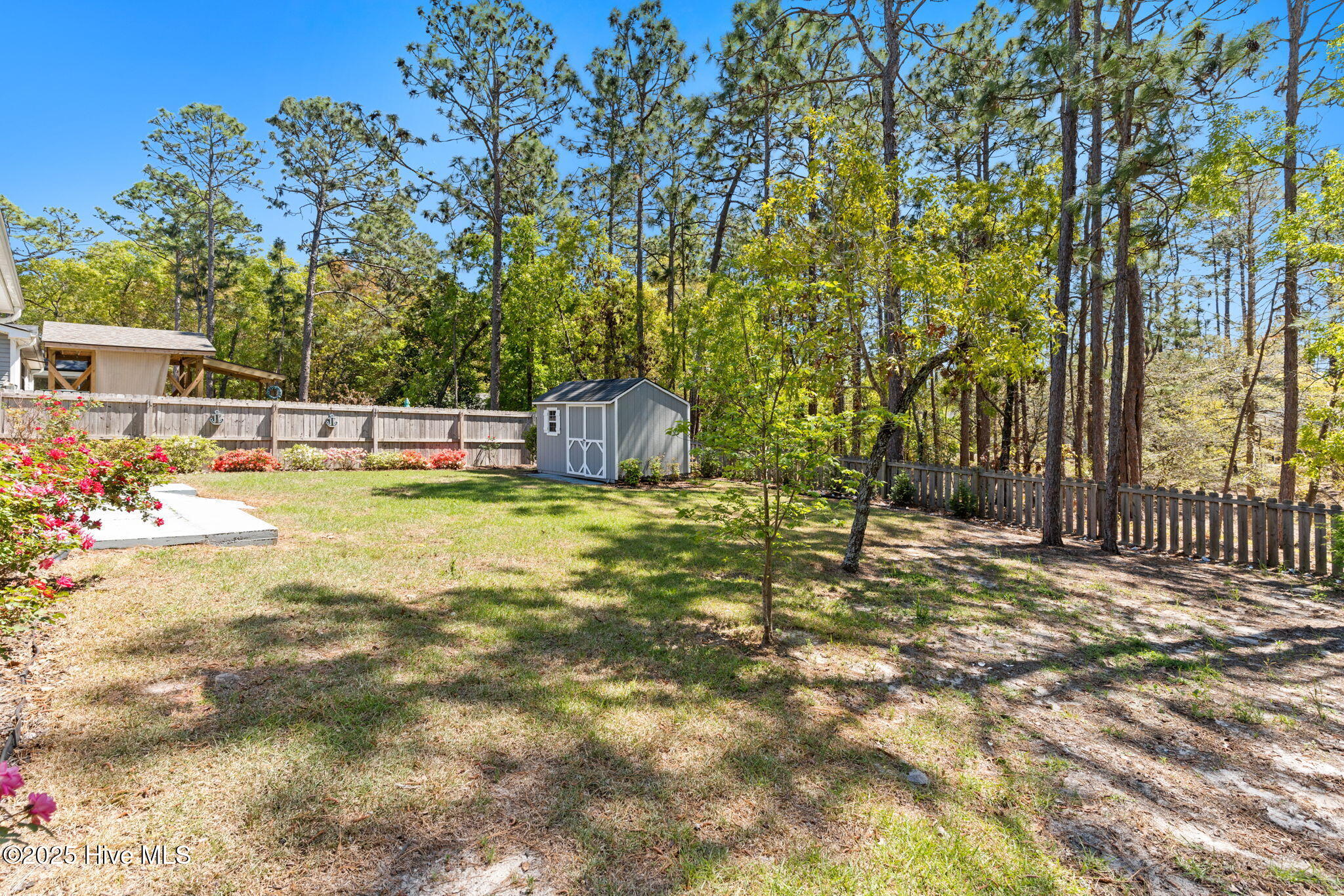 100501996 | Photo 38