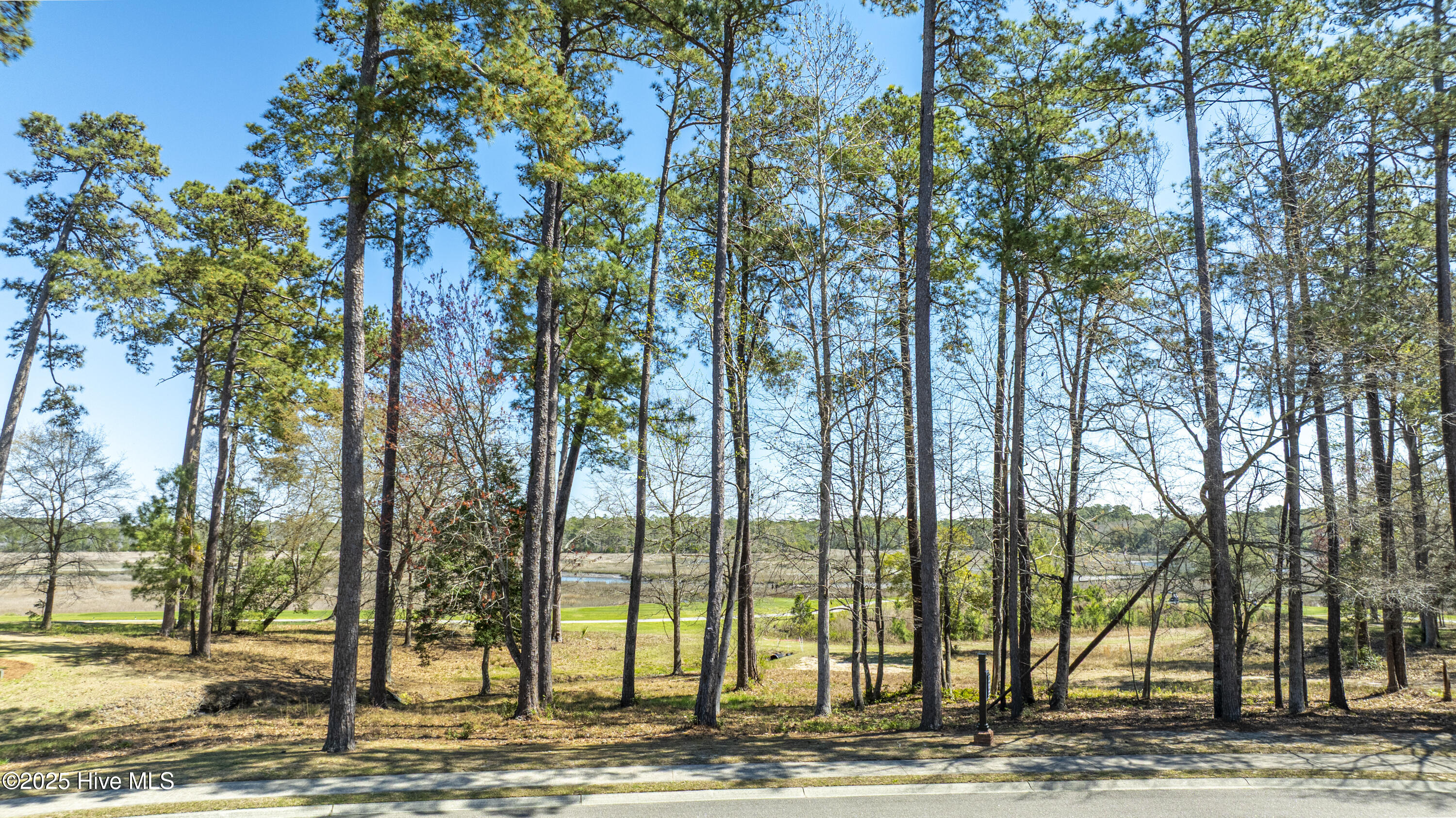 100498596 | Photo 16