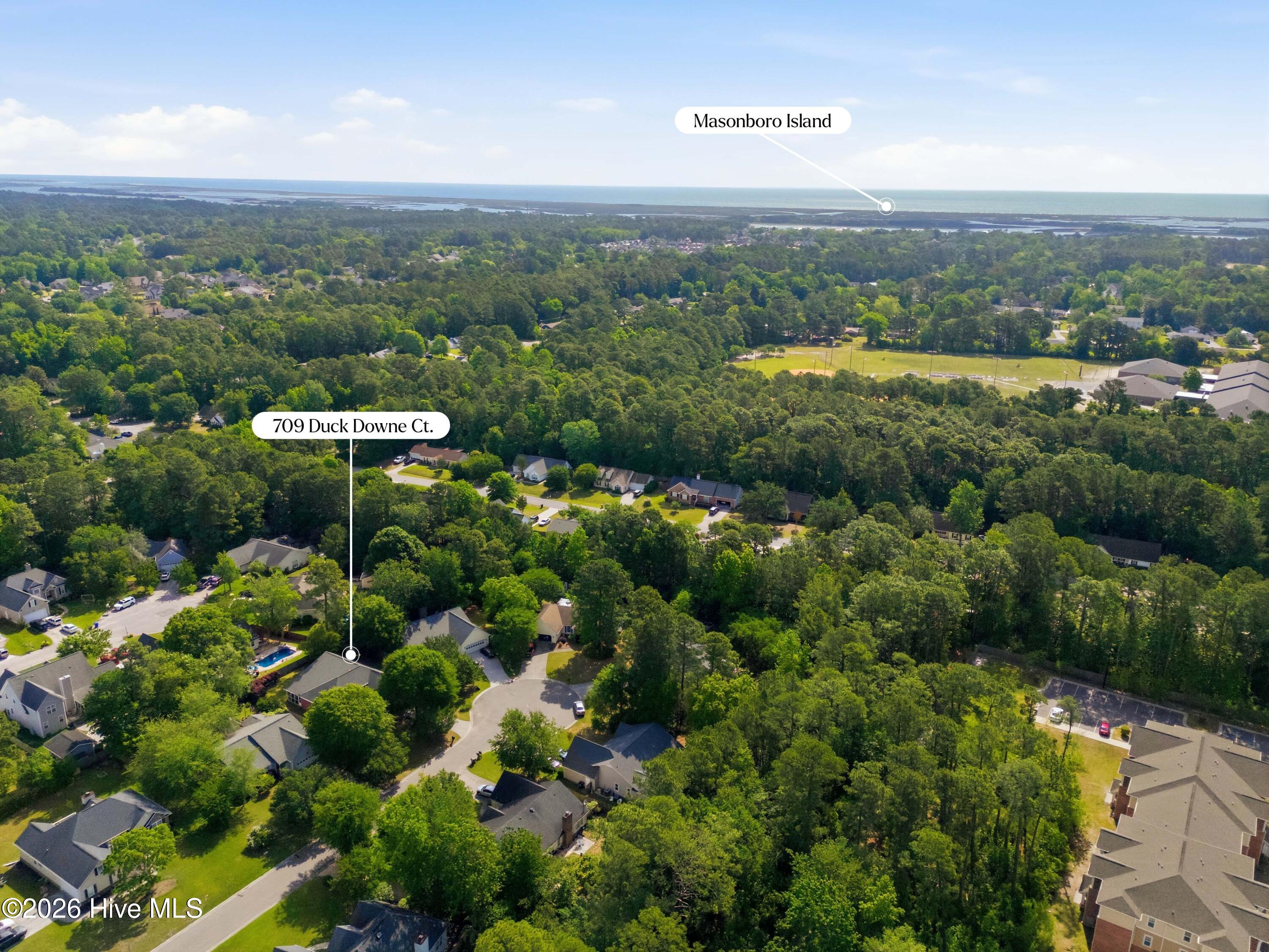 100573724 | Photo 42