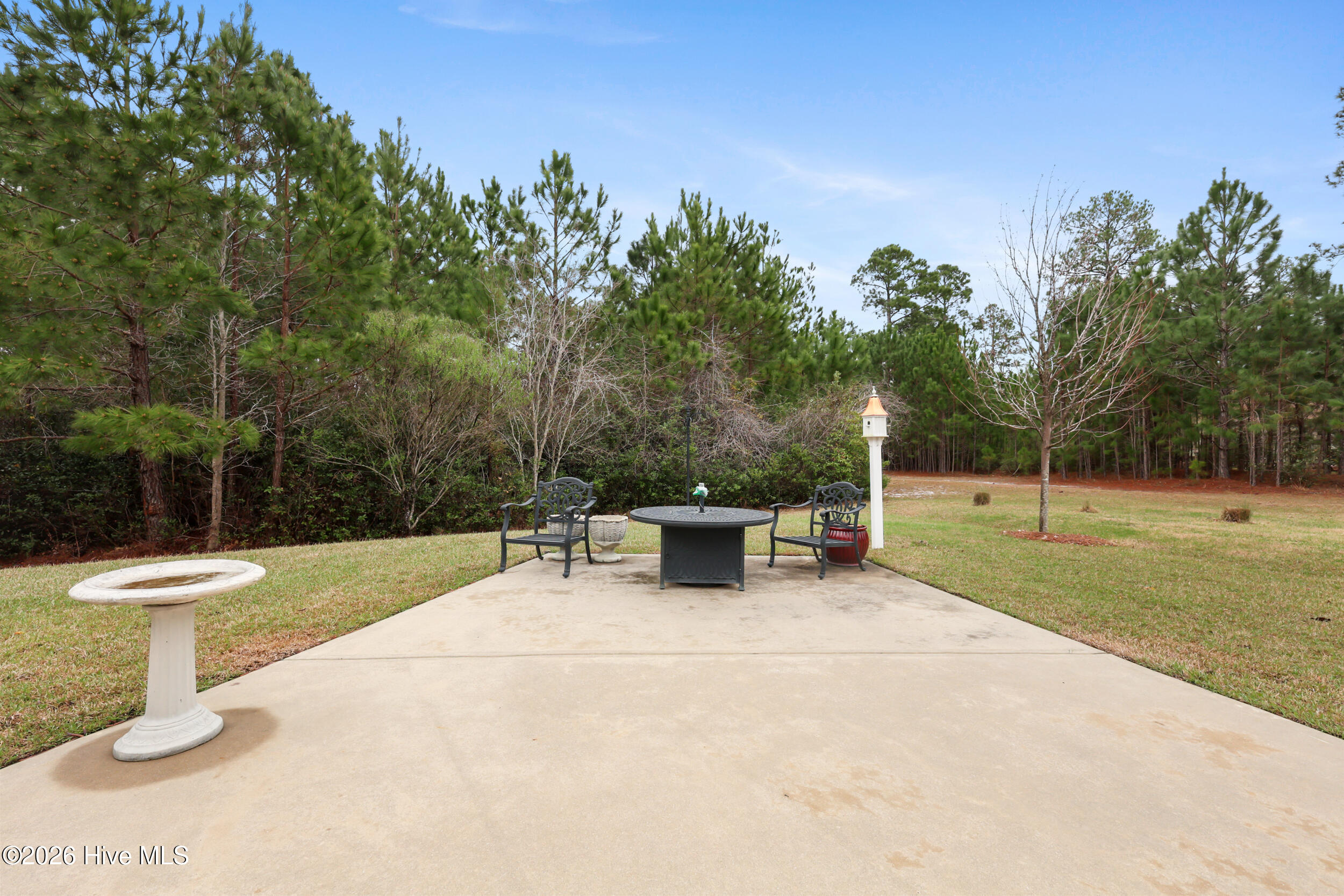 100561173 | Photo 46