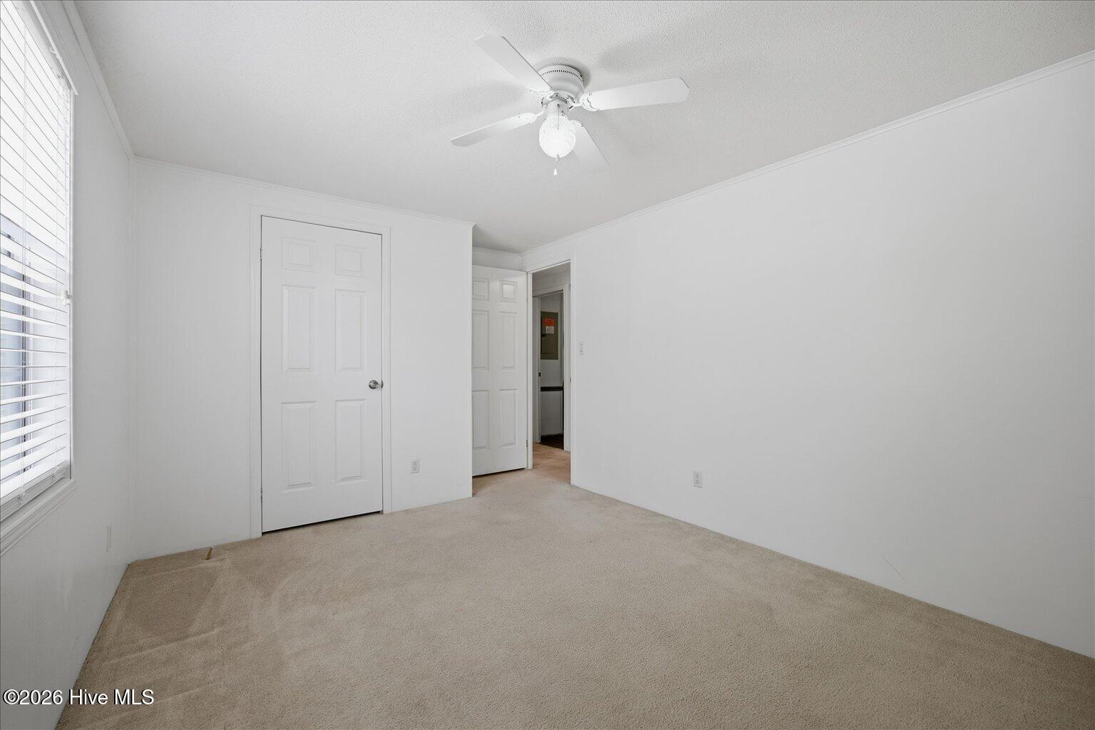 100569613 | Photo 21