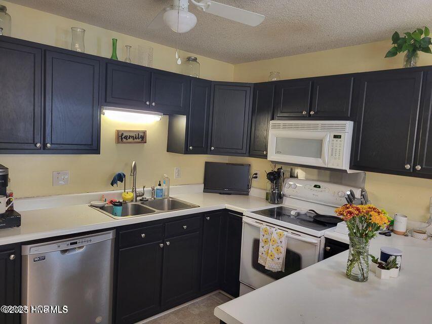 100543882 | Photo 20