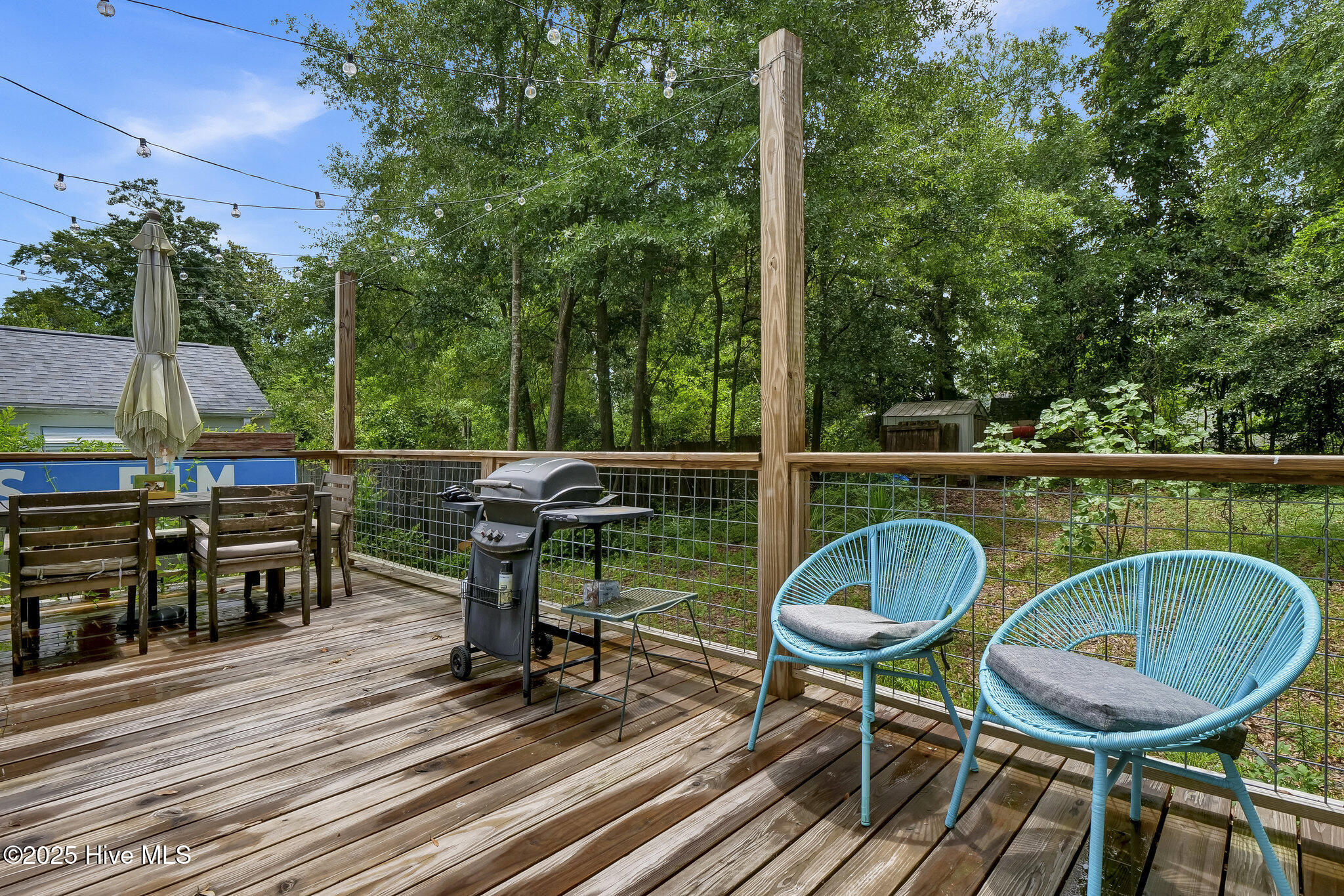 100513578 | Photo 23