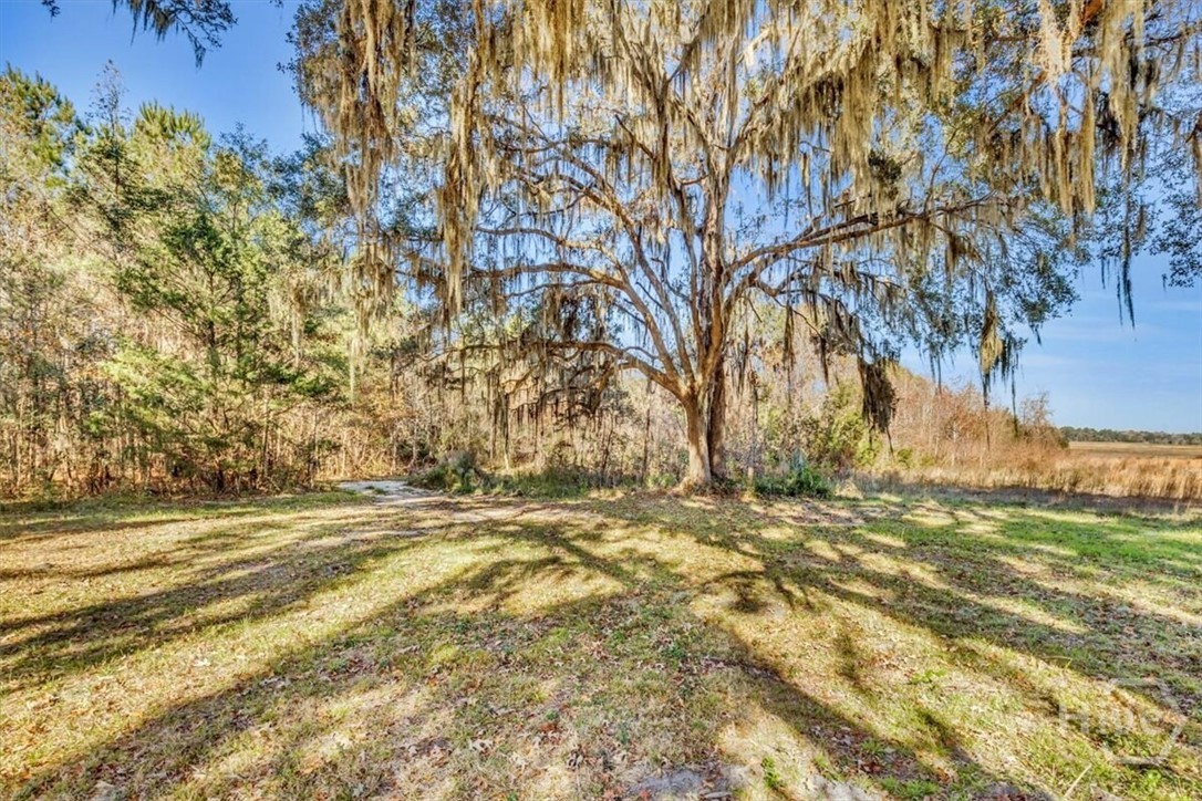 2nd image of 580 Old Gress Island Rd #2 ISLAND LOTS, Midway, GA 31320 | MLS# SA360339