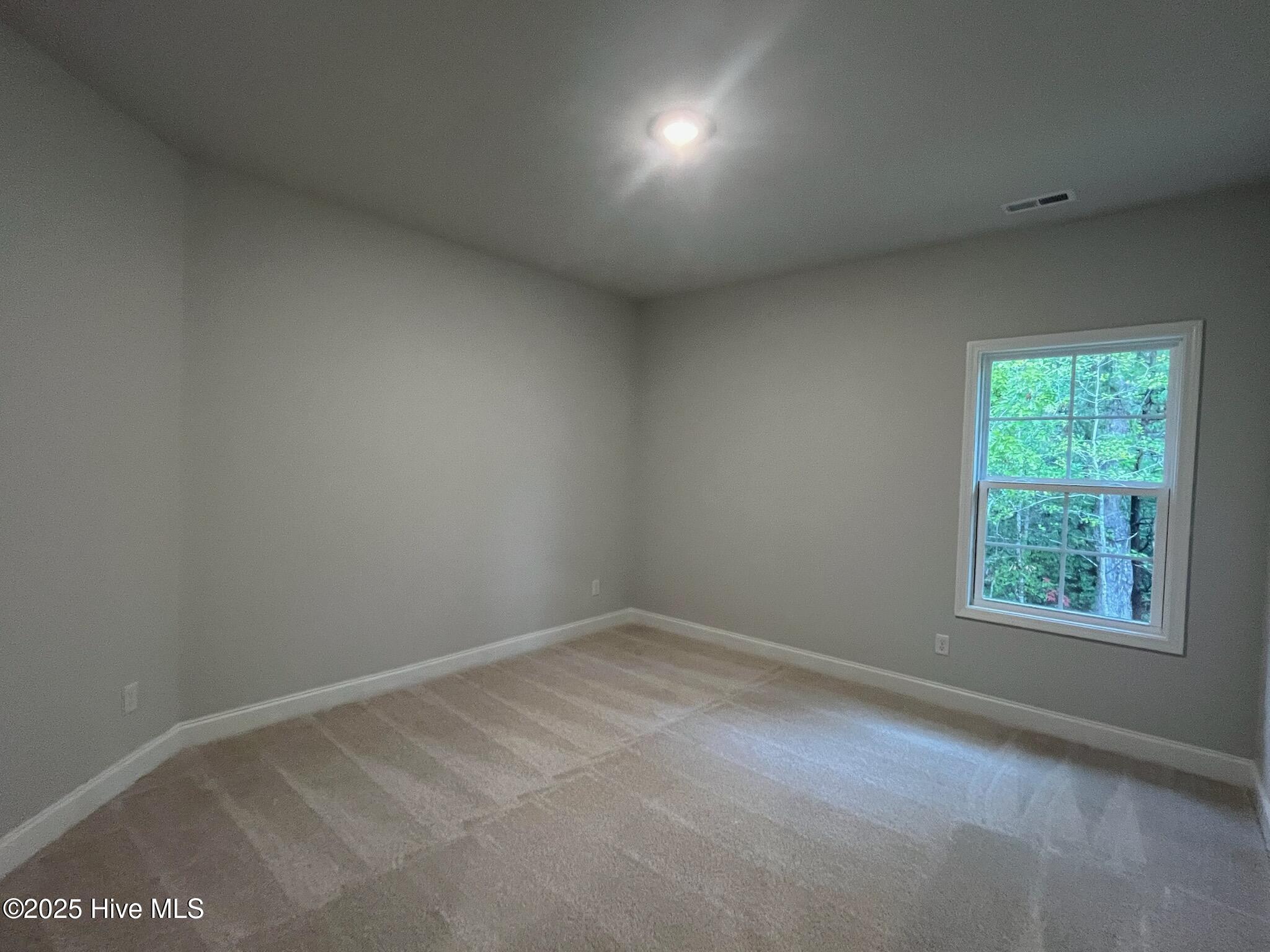 100420978 | Photo 34