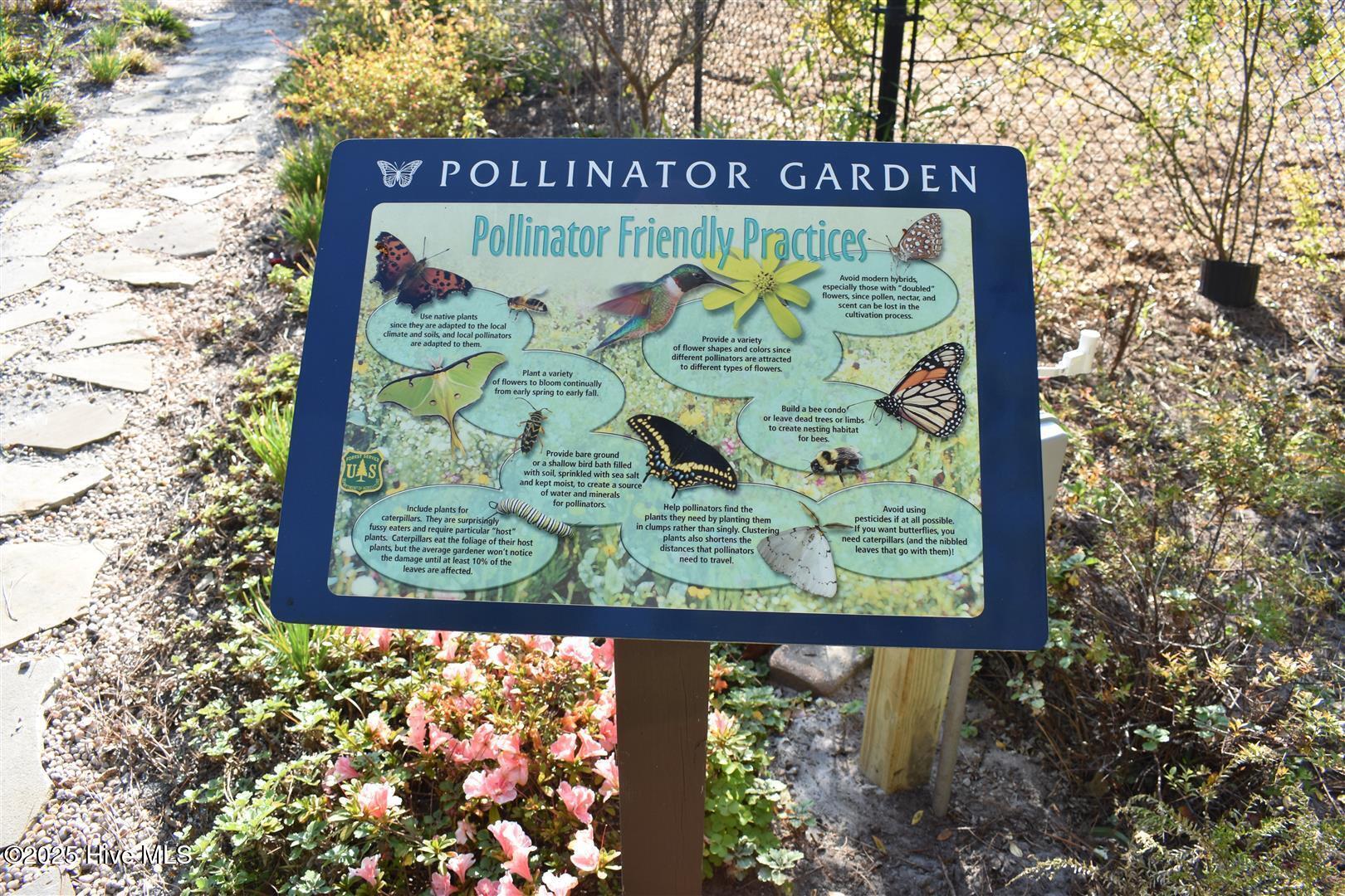 100542626 | Photo 65