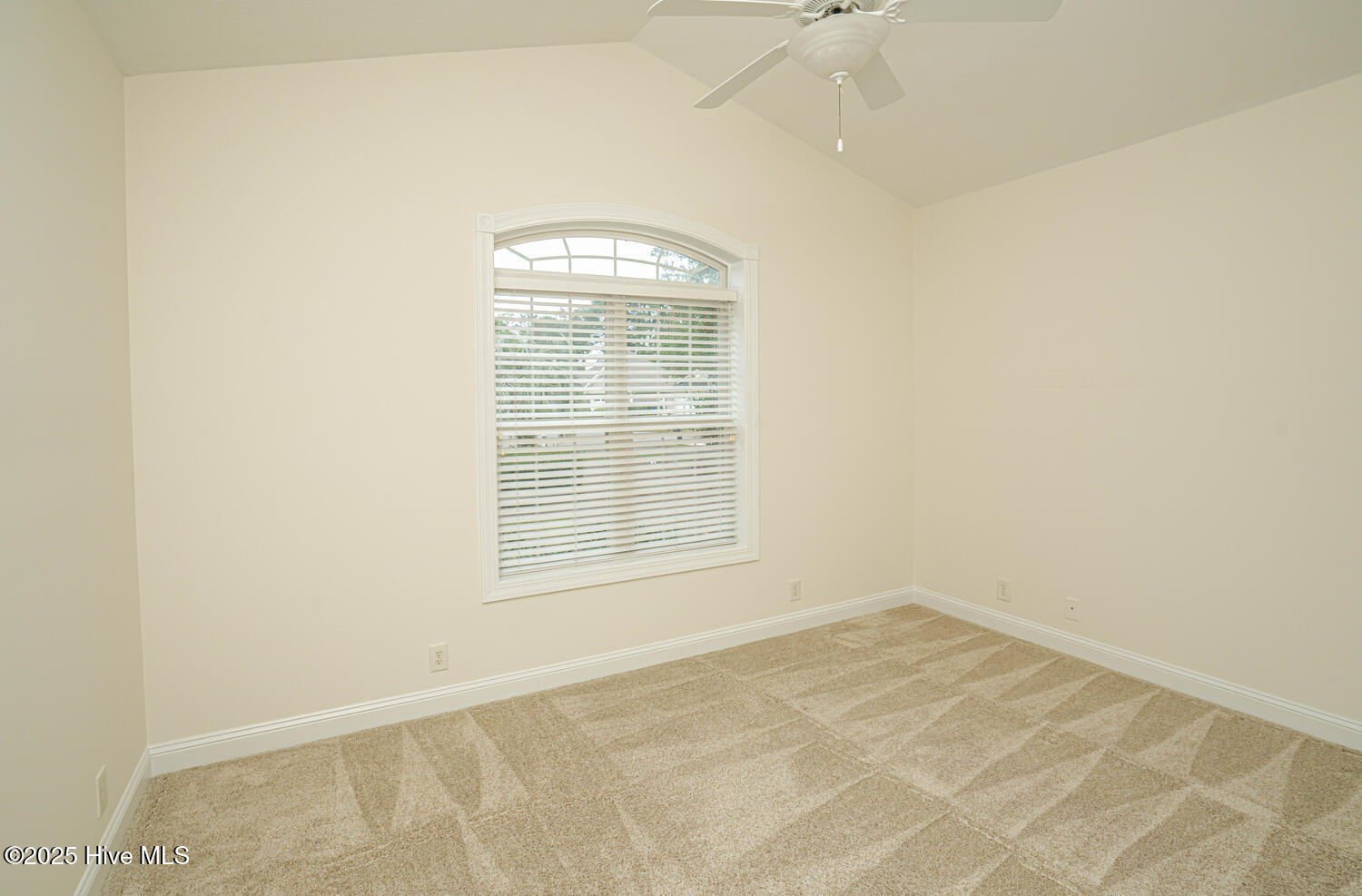 100538756 | Photo 11